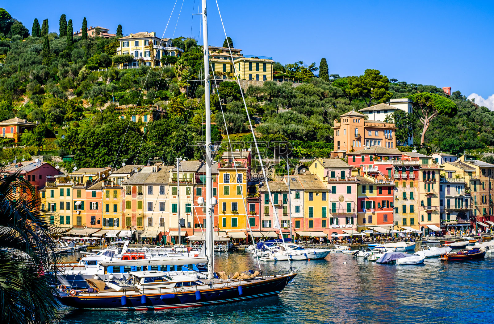意大利的波托菲诺老城和港口照片摄影图片