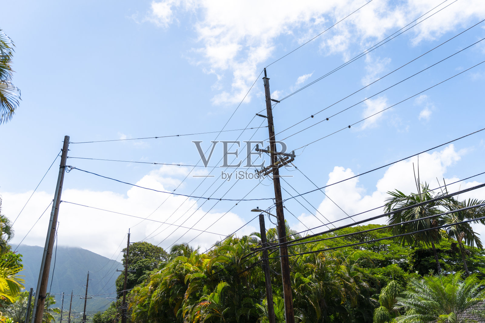 瓦胡岛郁郁葱葱的自然风光照片摄影图片