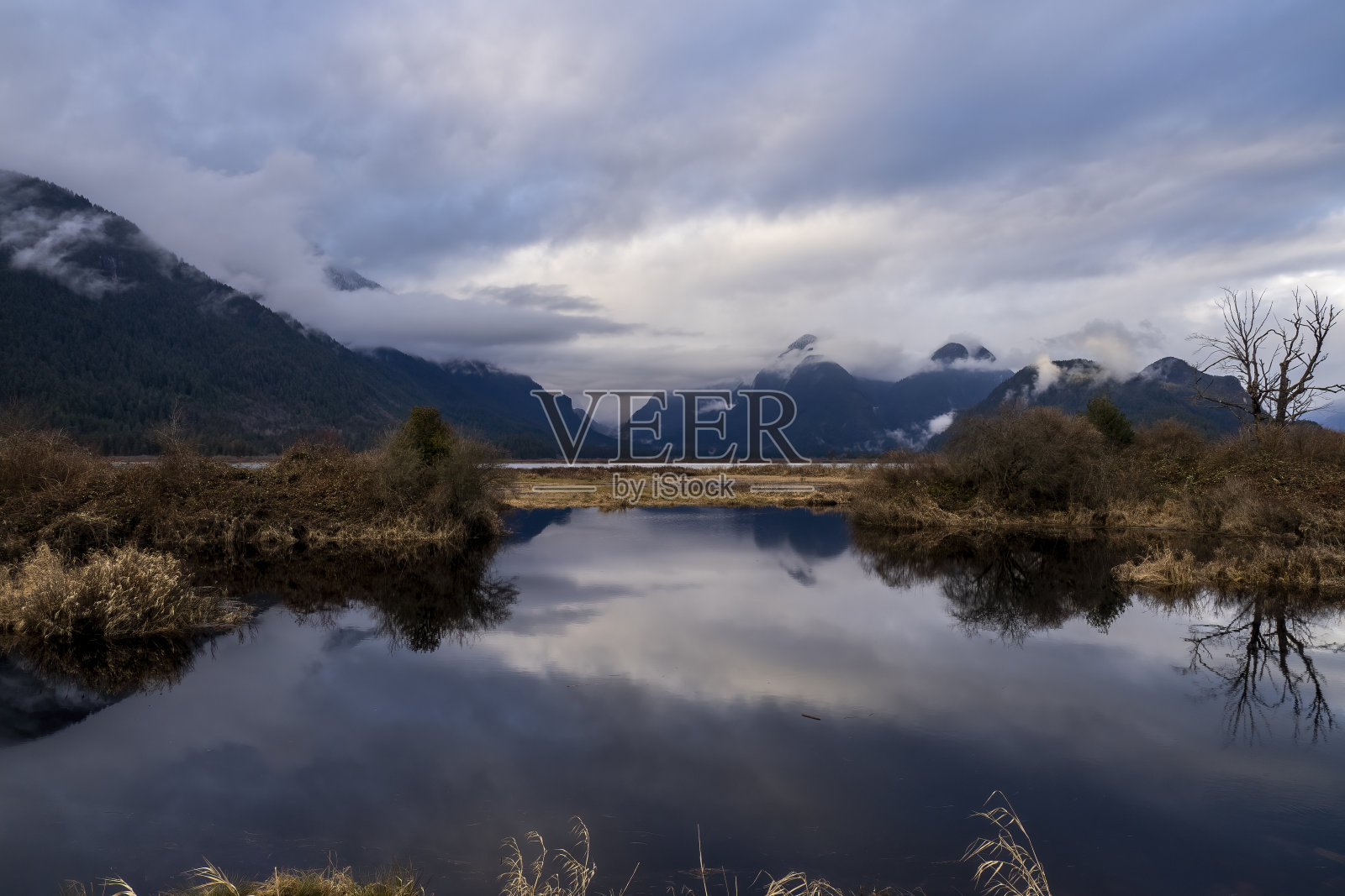皮特草原照片摄影图片