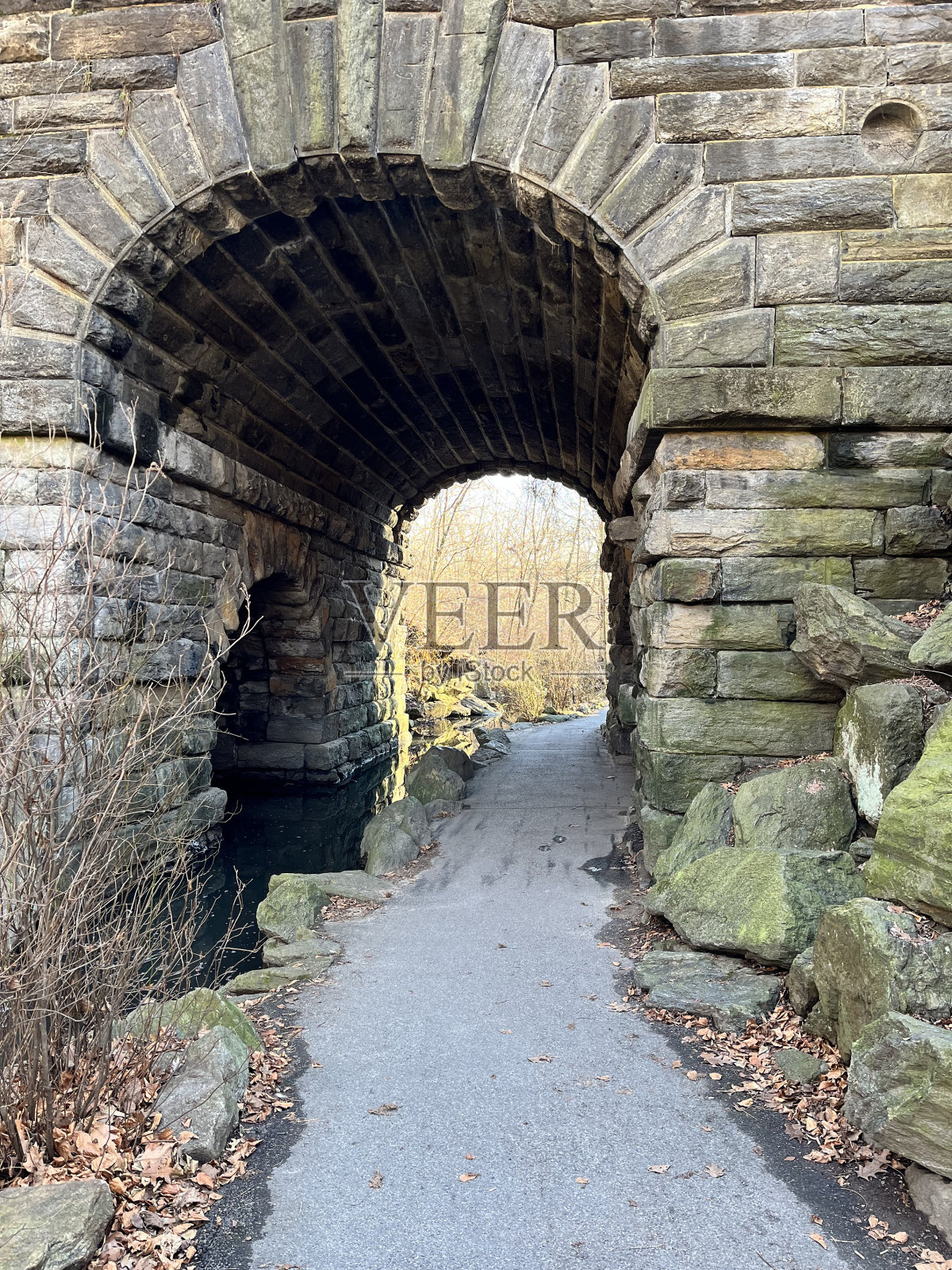 公园里照片摄影图片