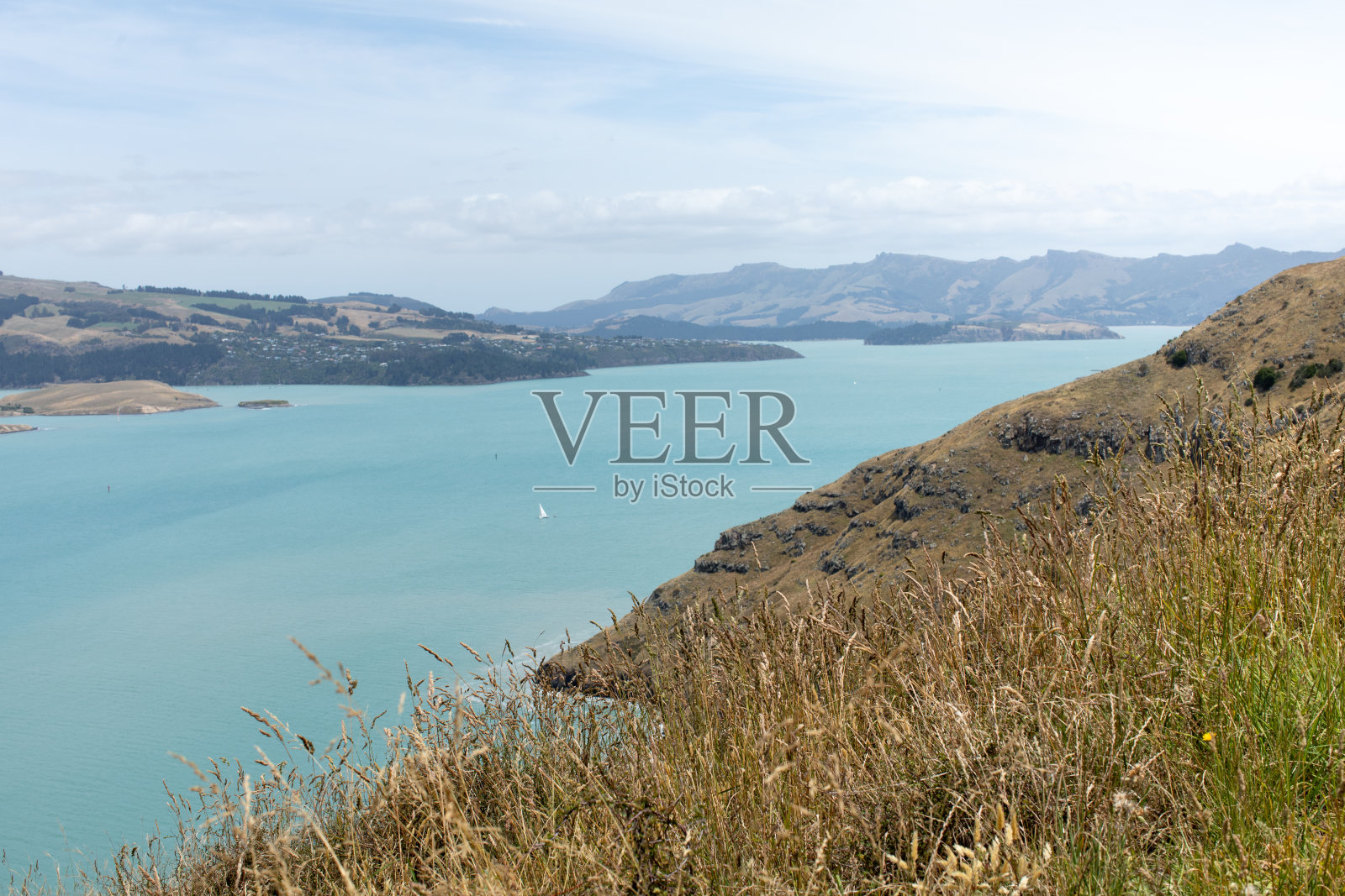 新西兰国家公园的海景。有岩石海岸的海湾。照片摄影图片