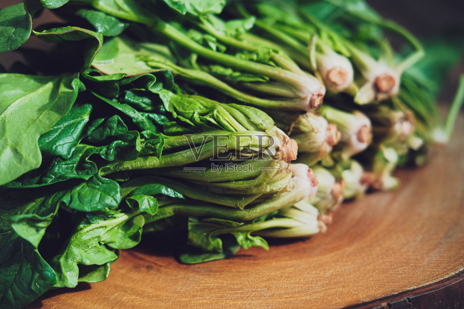 菠菜照片摄影图片