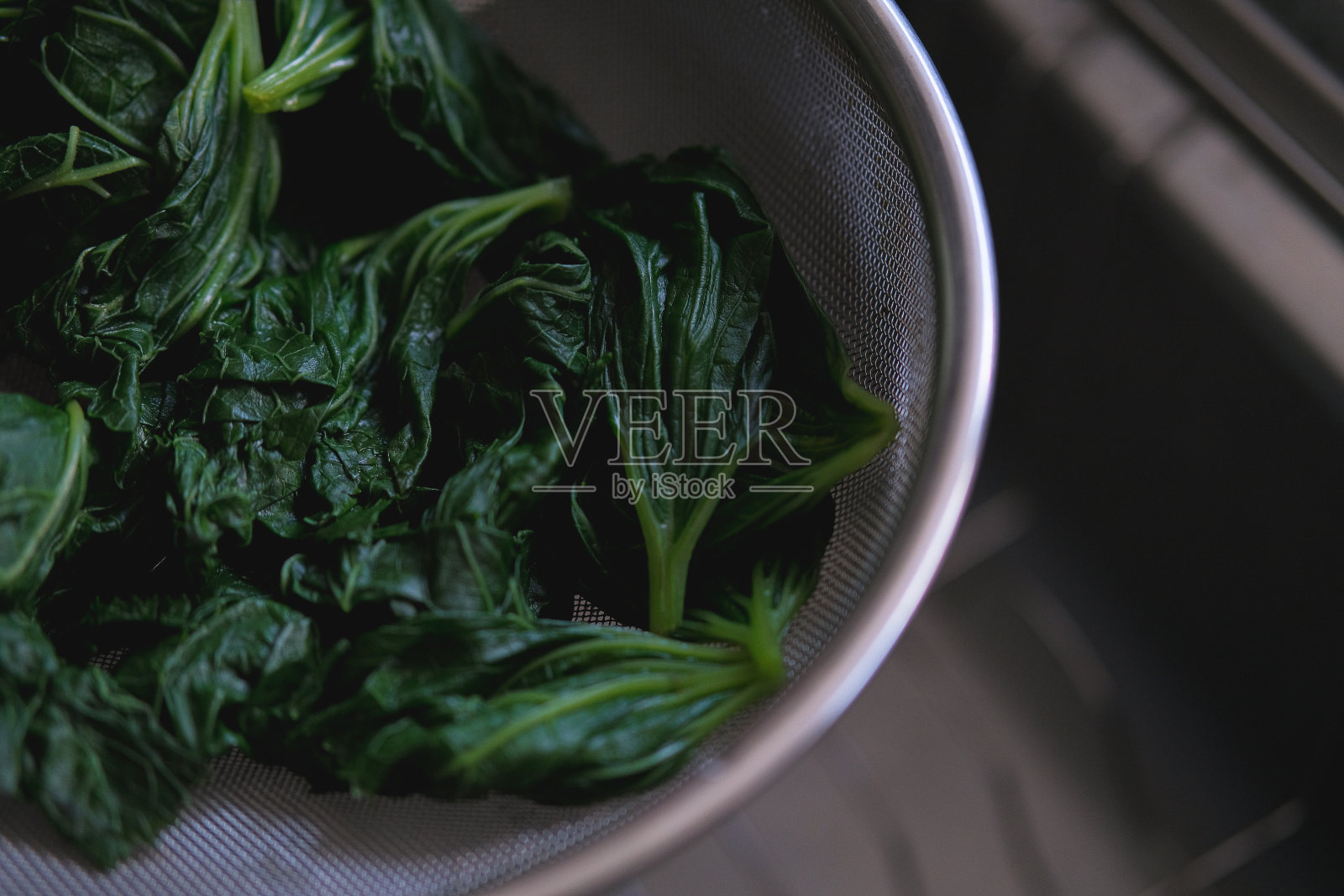 费舍尔是ragwort照片摄影图片