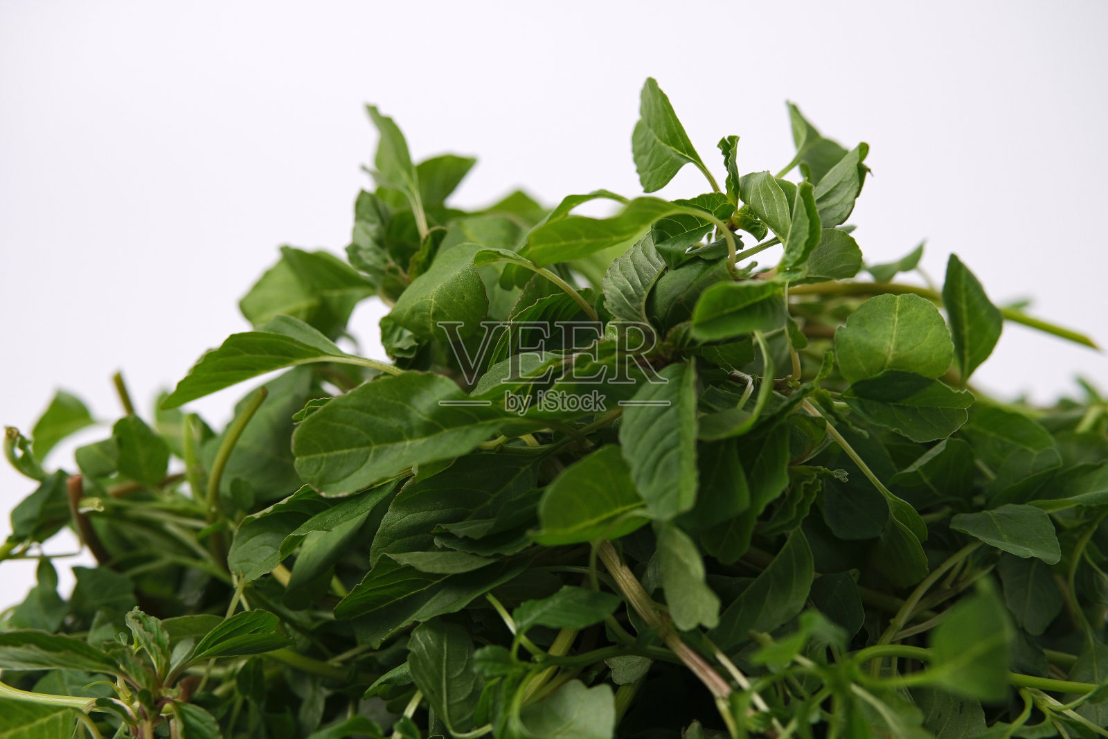 可食用的紫红色照片摄影图片