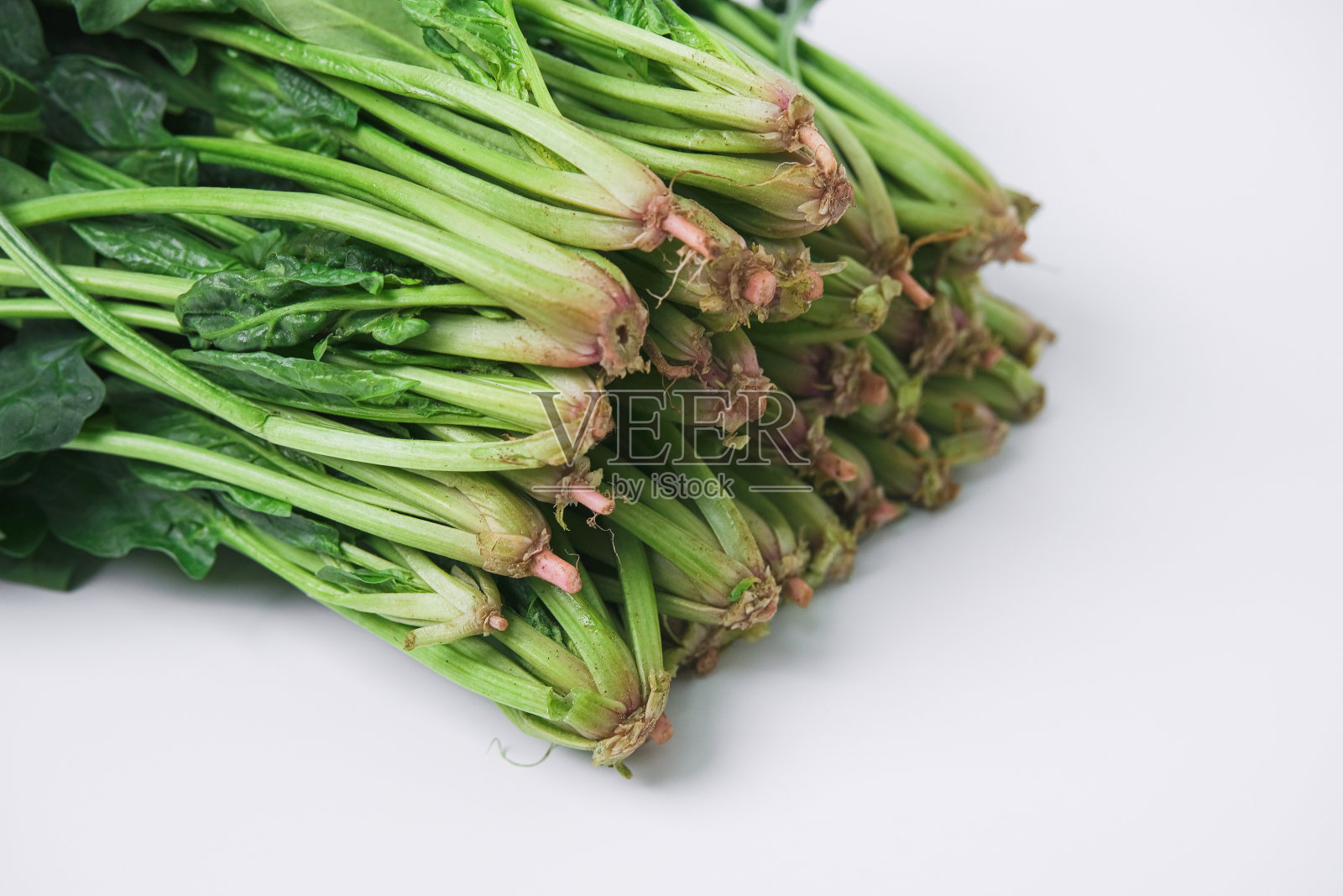 菠菜照片摄影图片