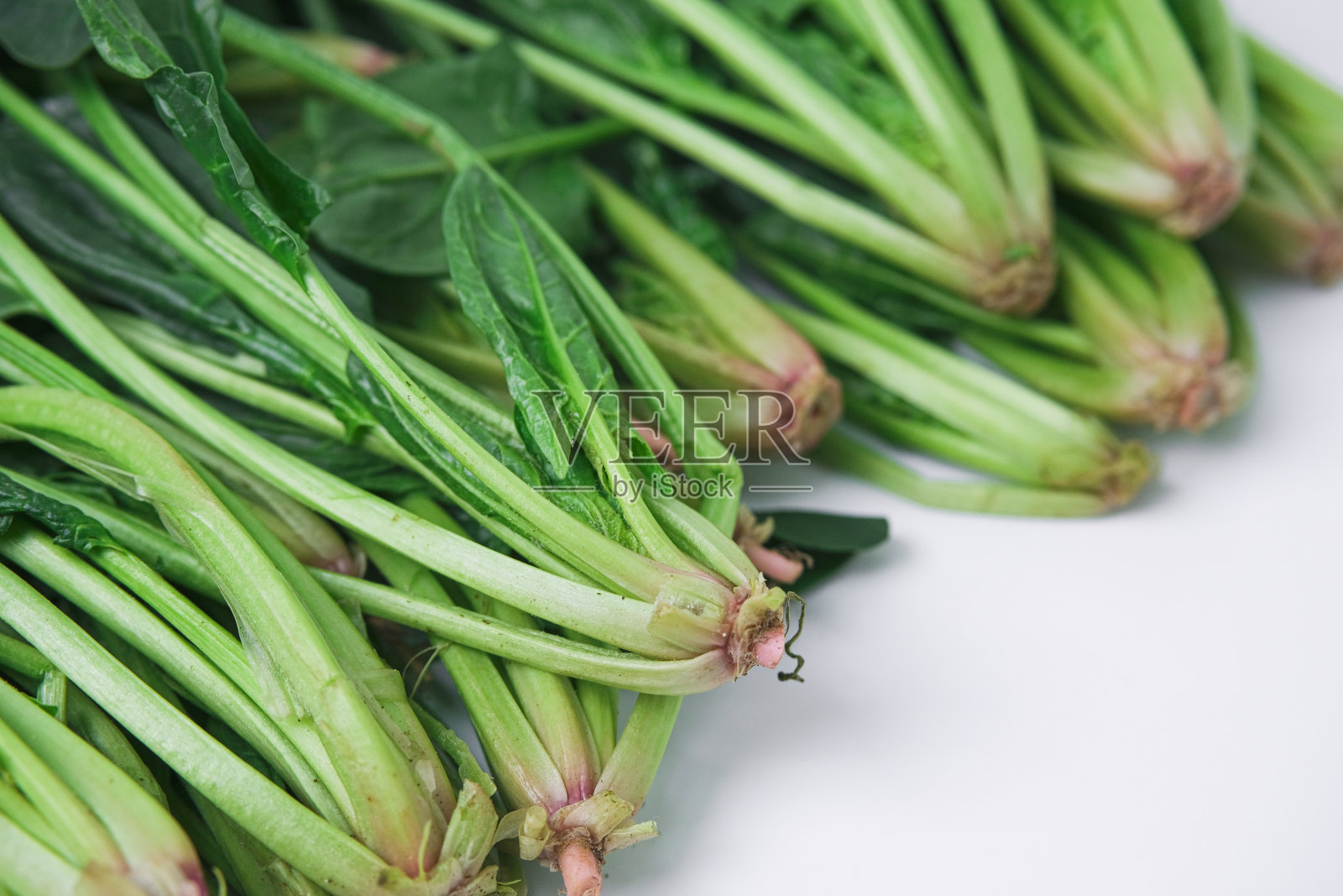 菠菜照片摄影图片