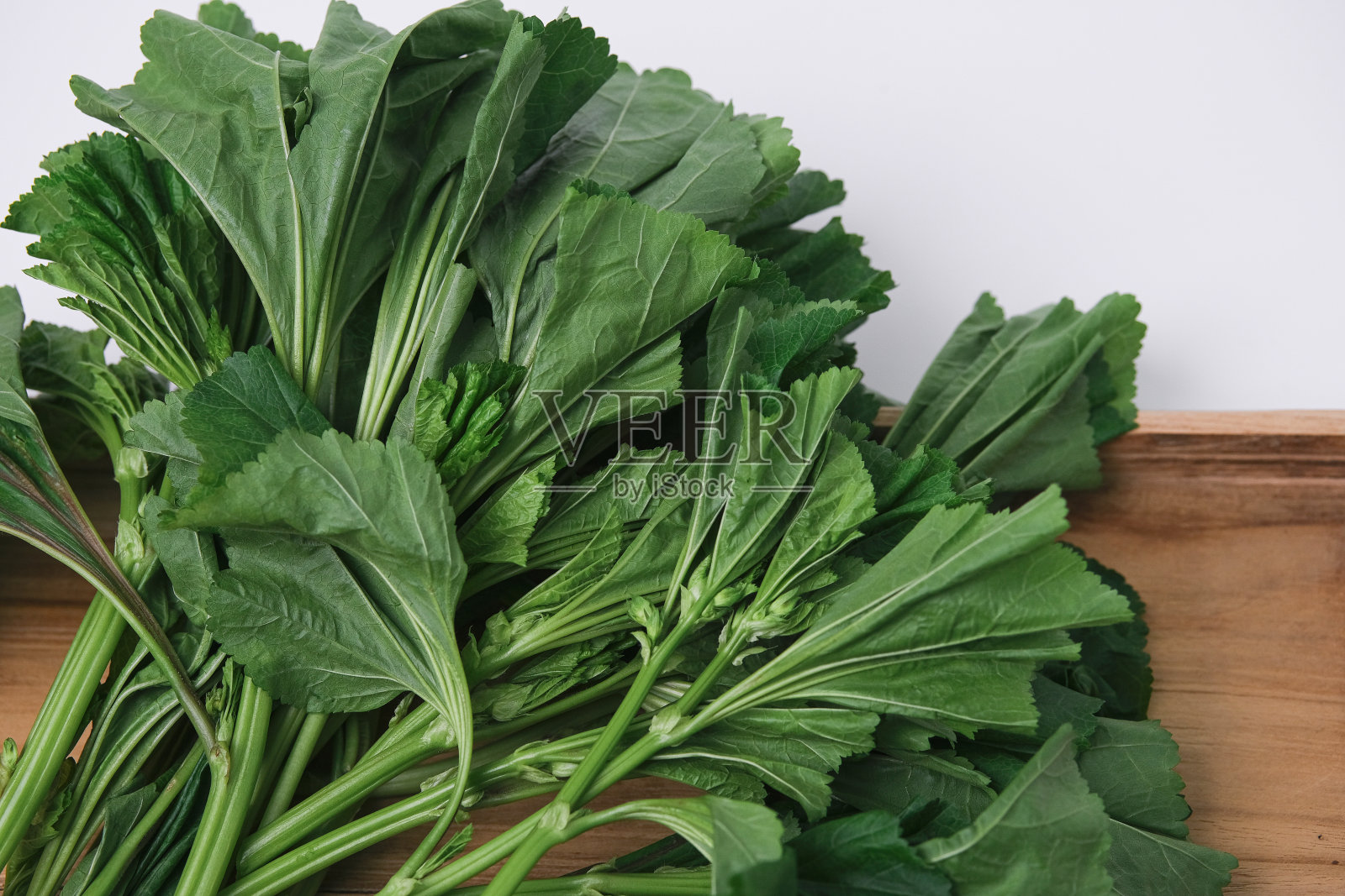 锦葵照片摄影图片