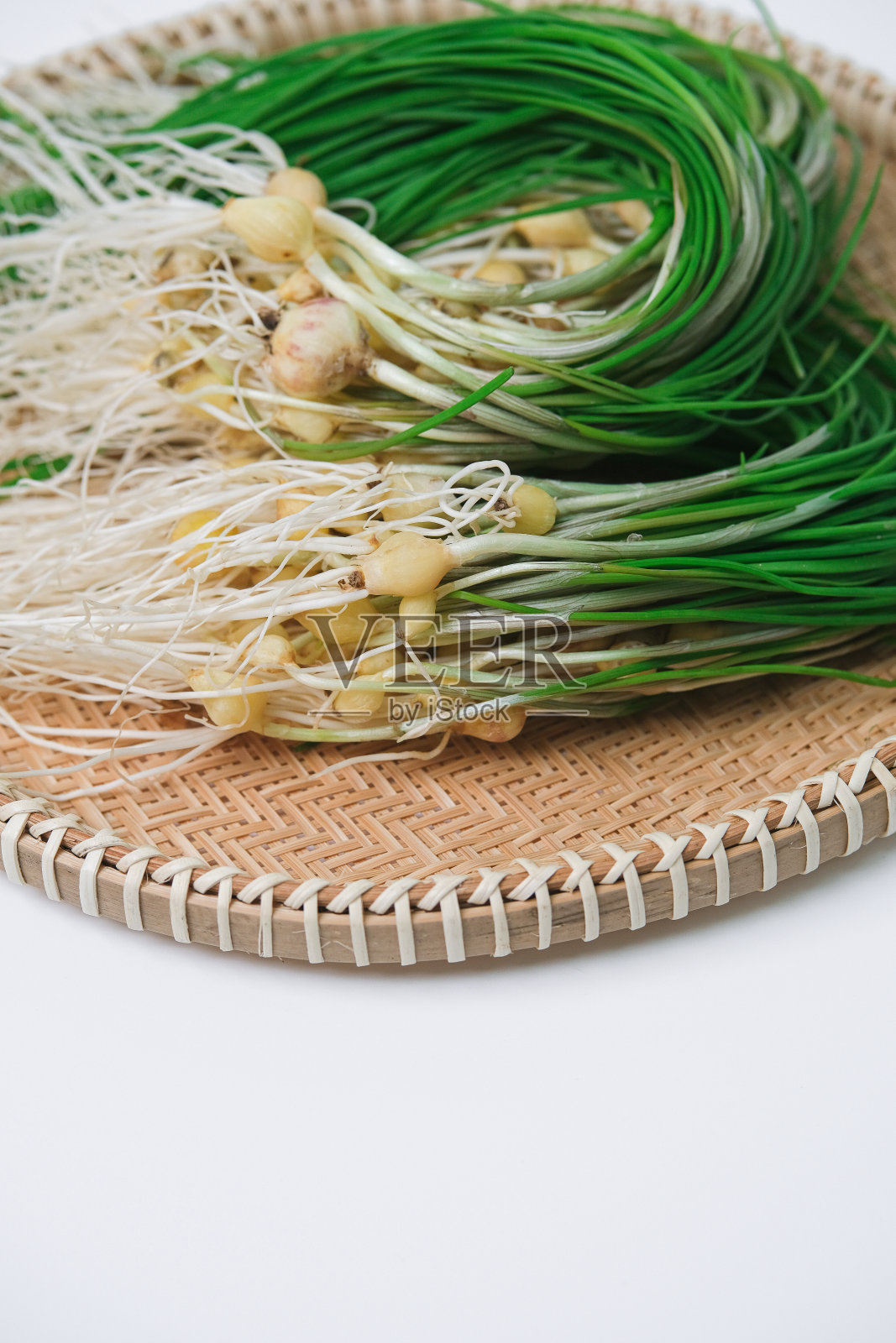 野生细香葱照片摄影图片