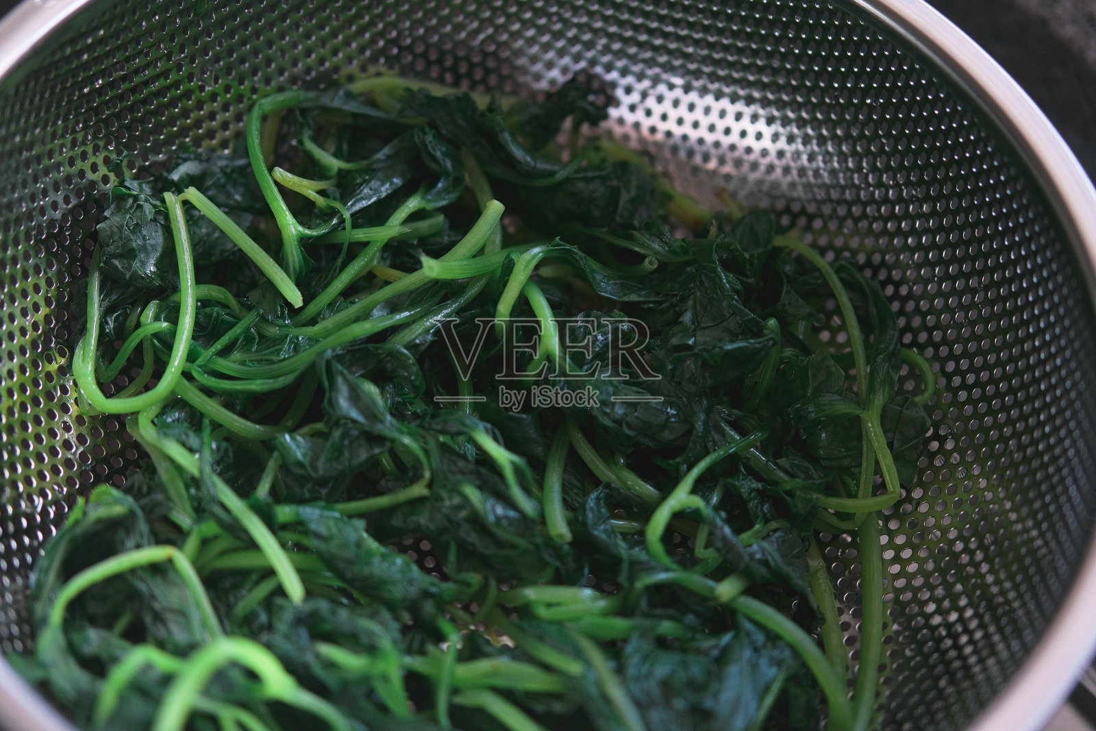 短果苣苔照片摄影图片