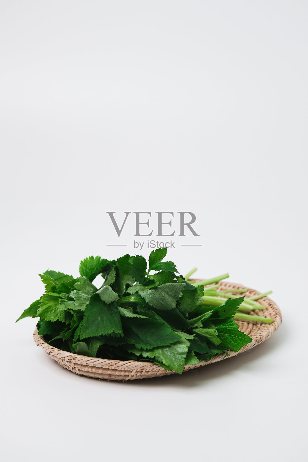 明党参照片摄影图片