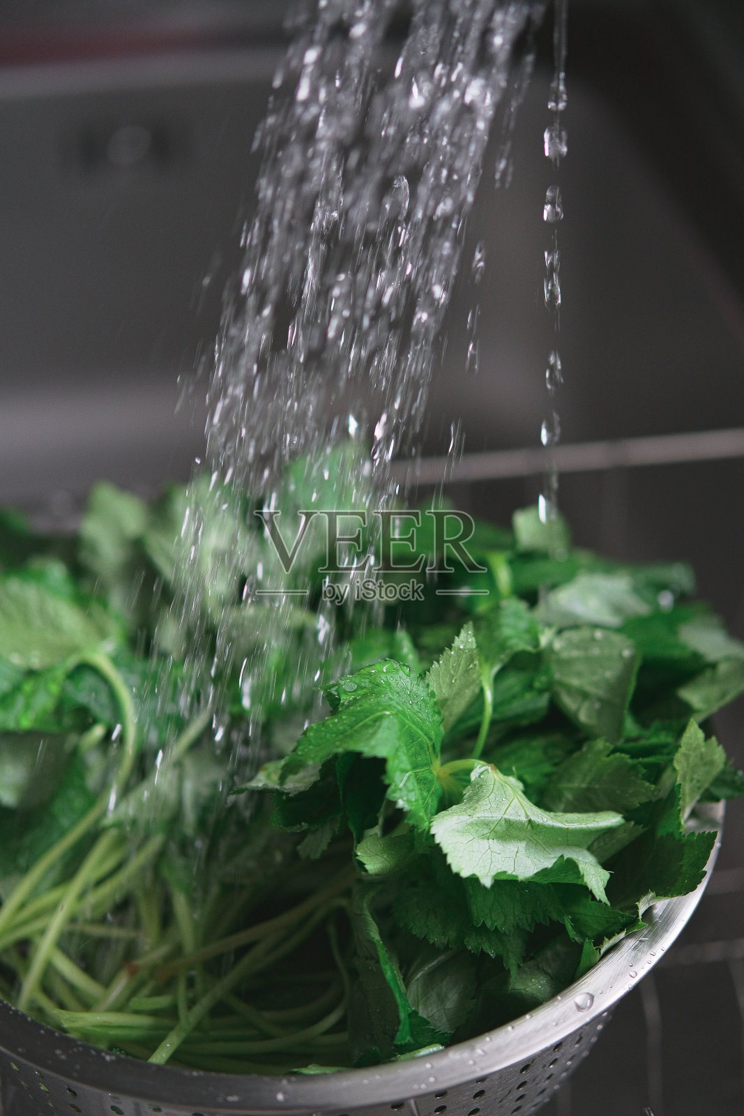 明党参照片摄影图片