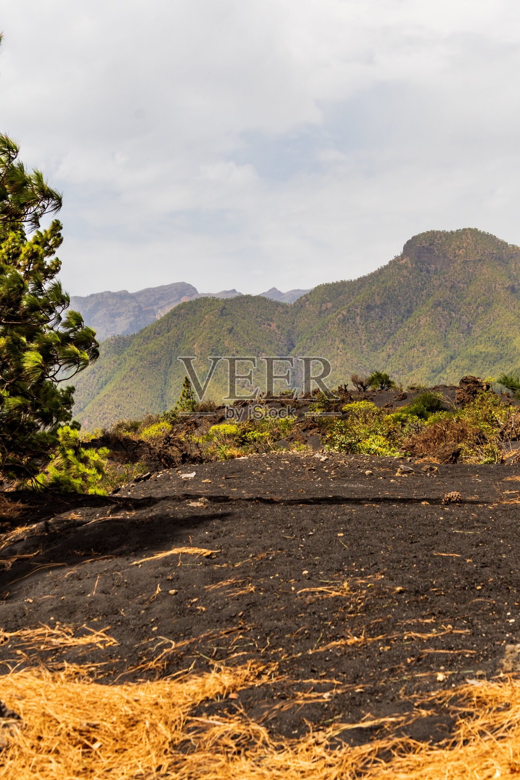 拉帕尔马岛Tajogaite火山喷发的灰烬。照片摄影图片
