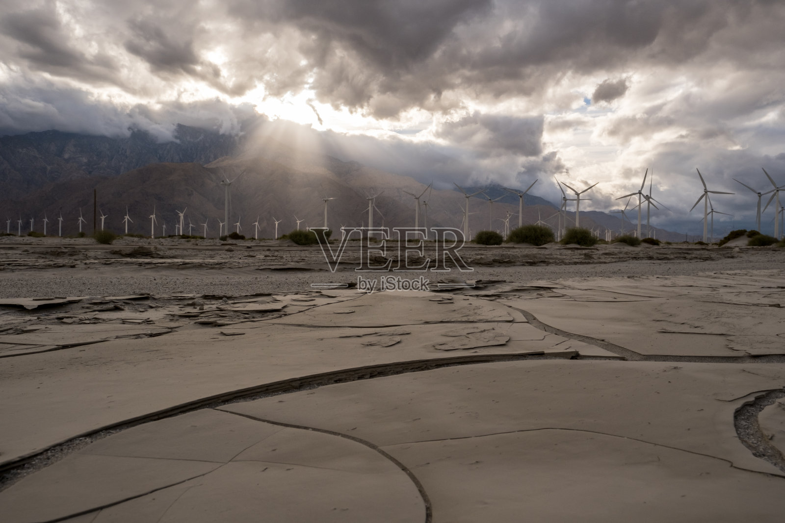 棕榈泉照片摄影图片