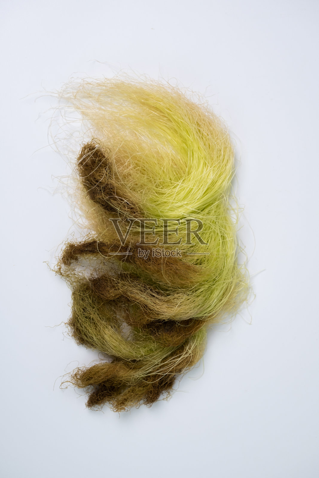 玉米照片摄影图片