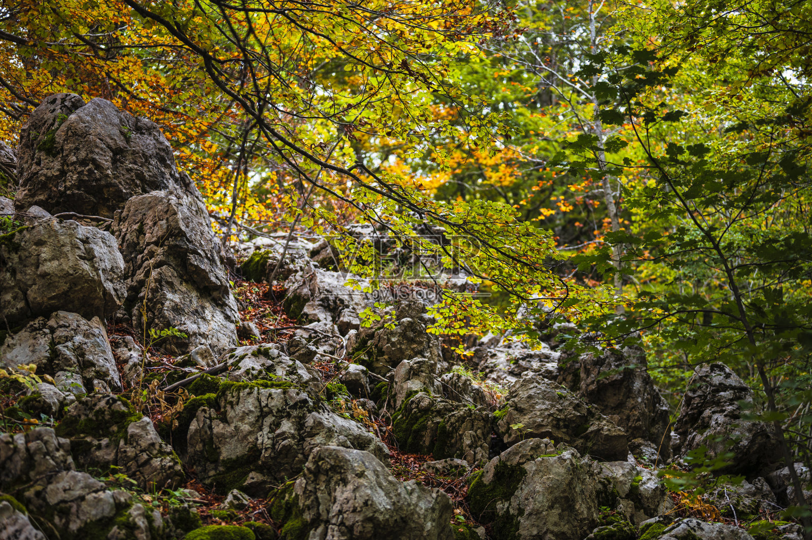 波里诺山的自然风光，巴西利卡塔照片摄影图片