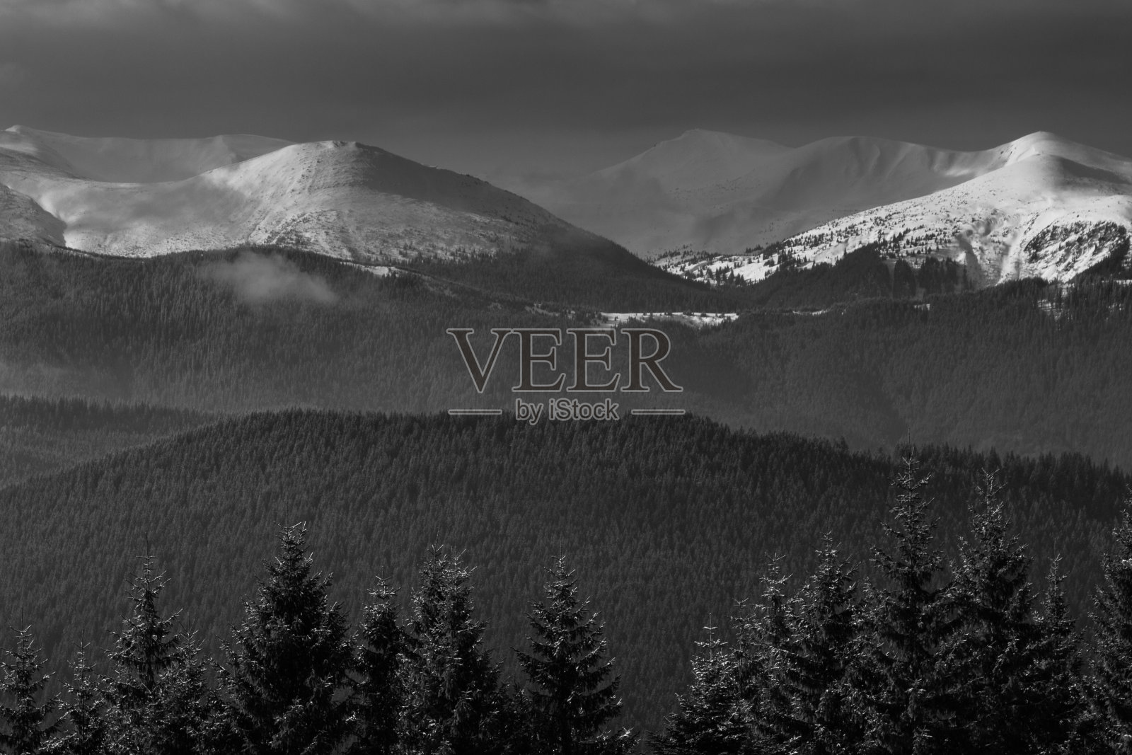 引人注目的冬季山地景观。白雪覆盖的朦胧的山峰和山丘。黑白照片。自然概念背景。照片摄影图片