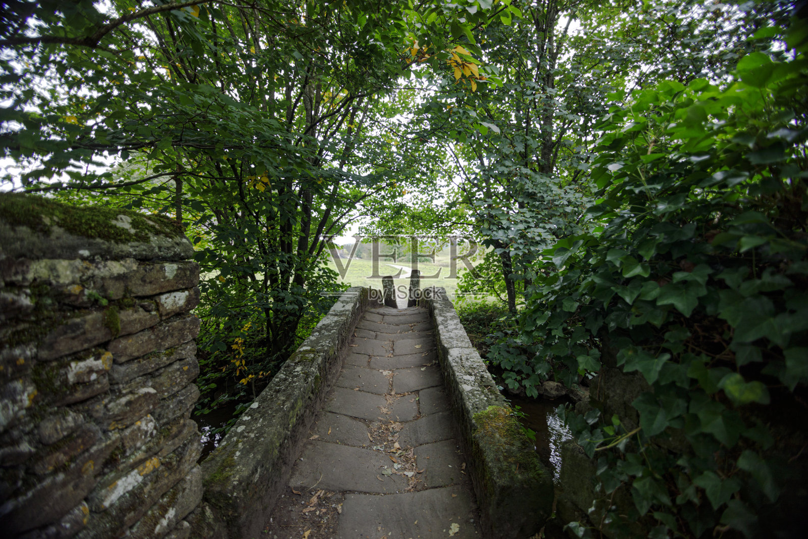 小溪上的老鹅卵石桥照片摄影图片