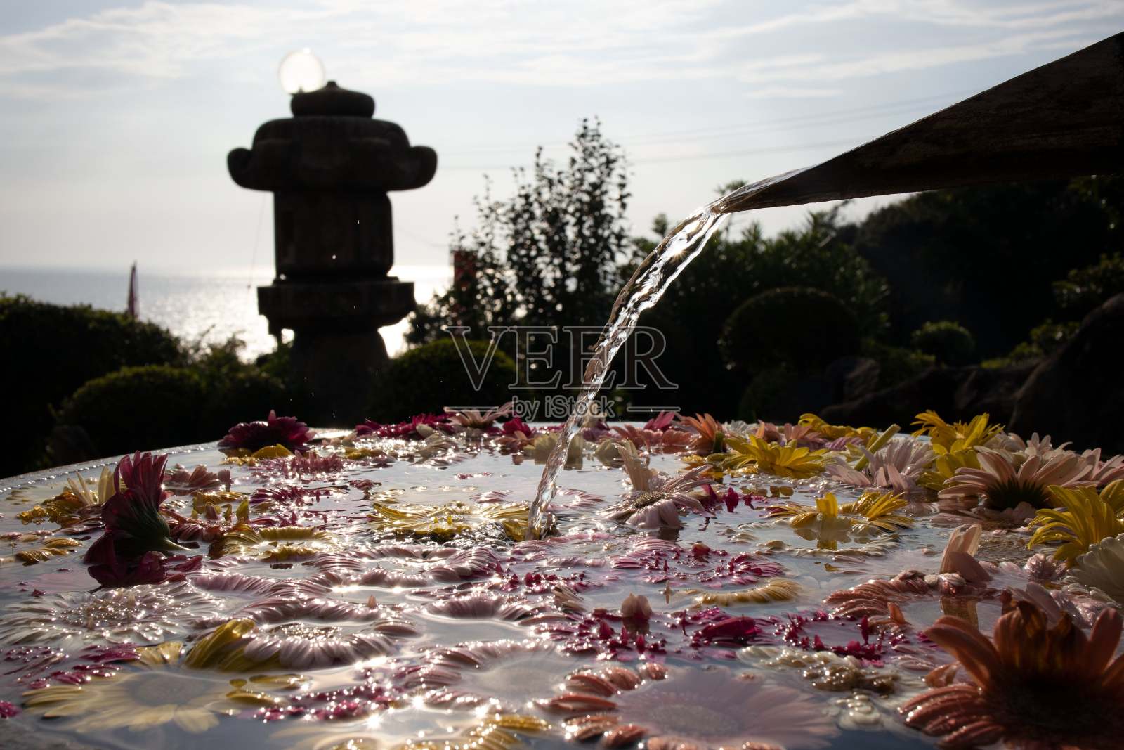 花喷泉特写与飞溅照片摄影图片