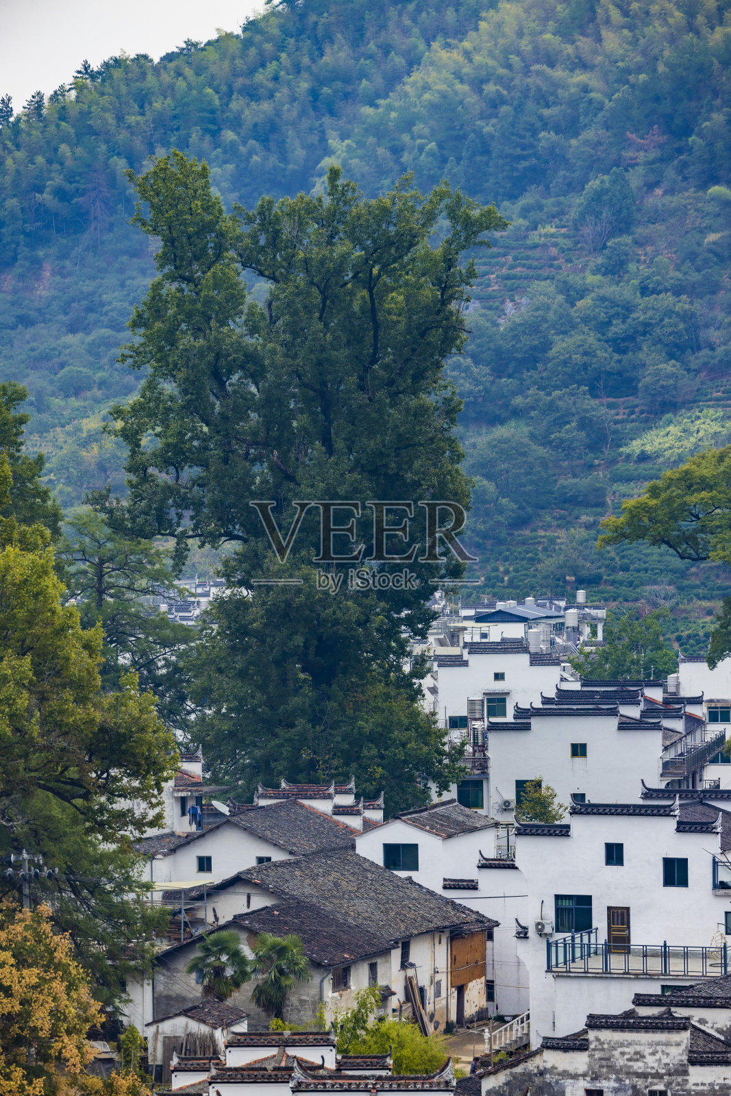 婺源历史村，中国照片摄影图片