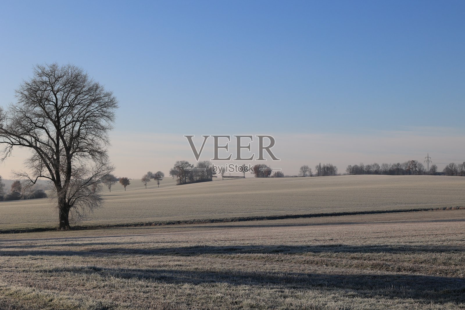 Sunny winter day in Münsterland照片摄影图片