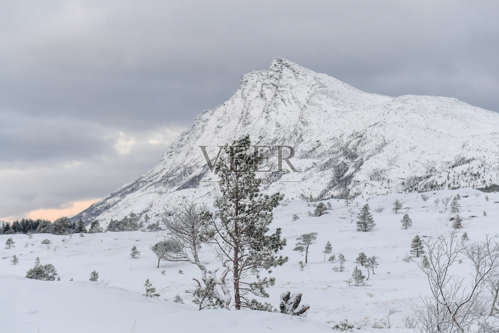 冬天的挪威北极照片摄影图片