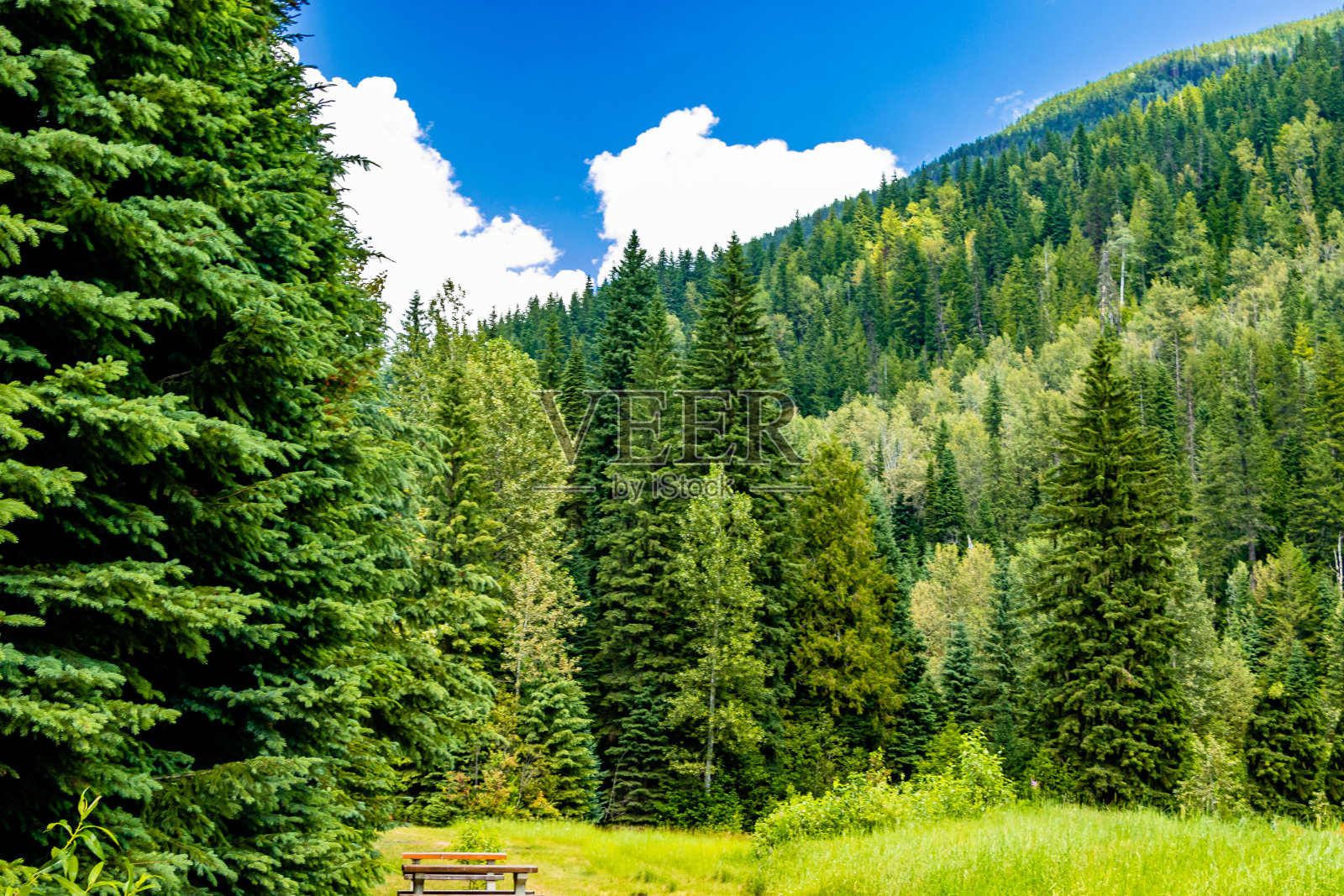 海狸谷冰川国家公园加拿大不列颠哥伦比亚省照片摄影图片