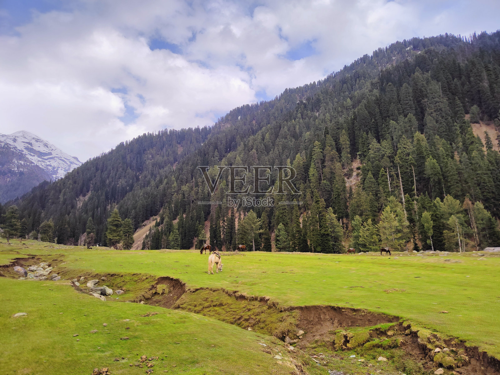 印度克什米尔——2021年4月14日:喜马拉雅山脉克什米尔的美丽风景照片摄影图片