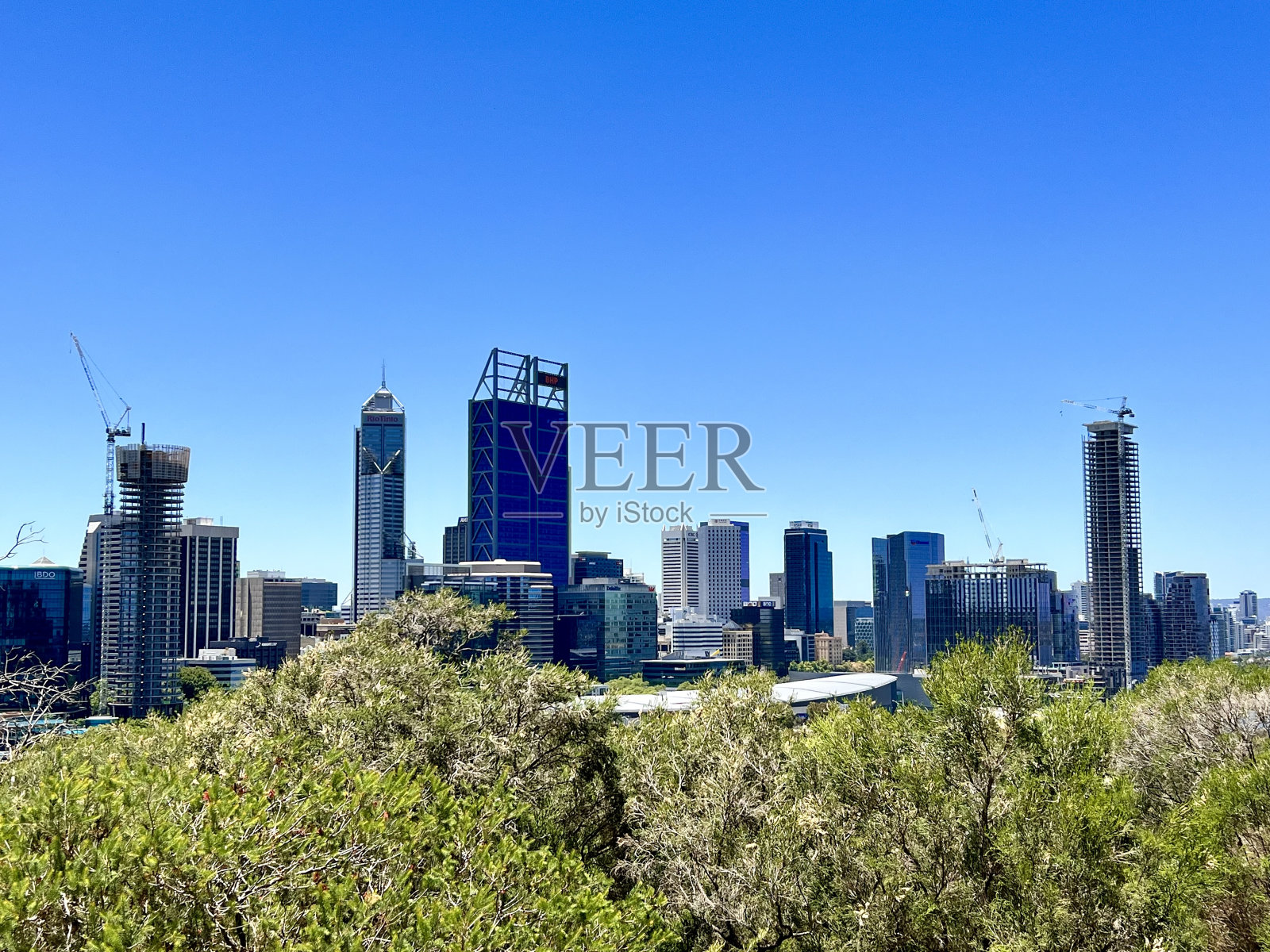 珀斯天际线从国王公园照片摄影图片