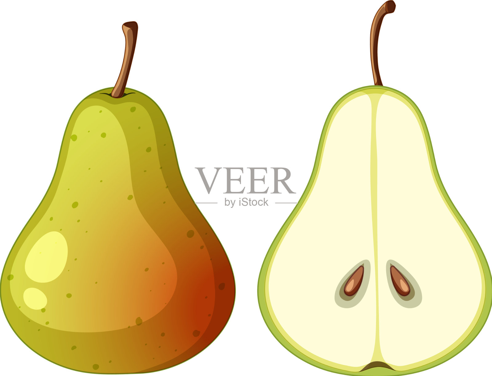 熟梨和半个梨插画图片素材