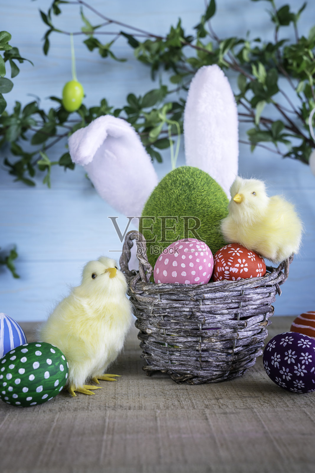特写复活节构图，两只黄色蓬松的雏鸡和篮子里的复活节彩蛋，背景是蓝色的木头，树枝上有绿叶和兔子耳朵照片摄影图片