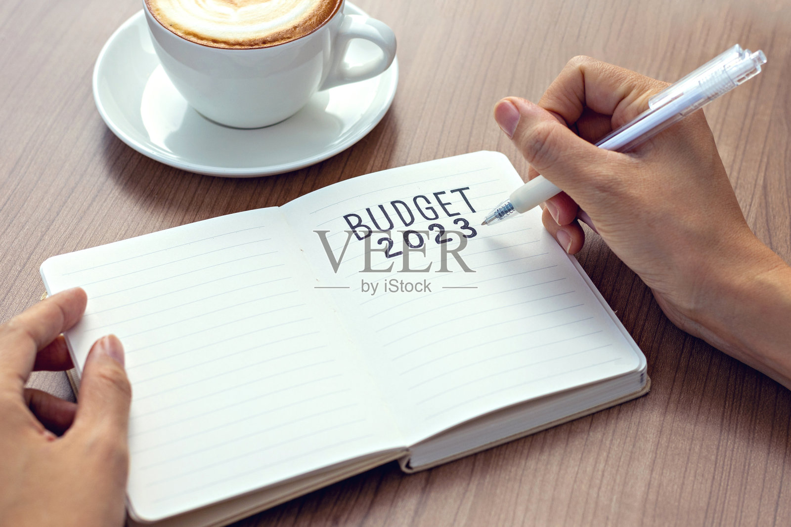 女商人在笔记本上写下2023年预算的文本，作为新年决心计划。照片摄影图片