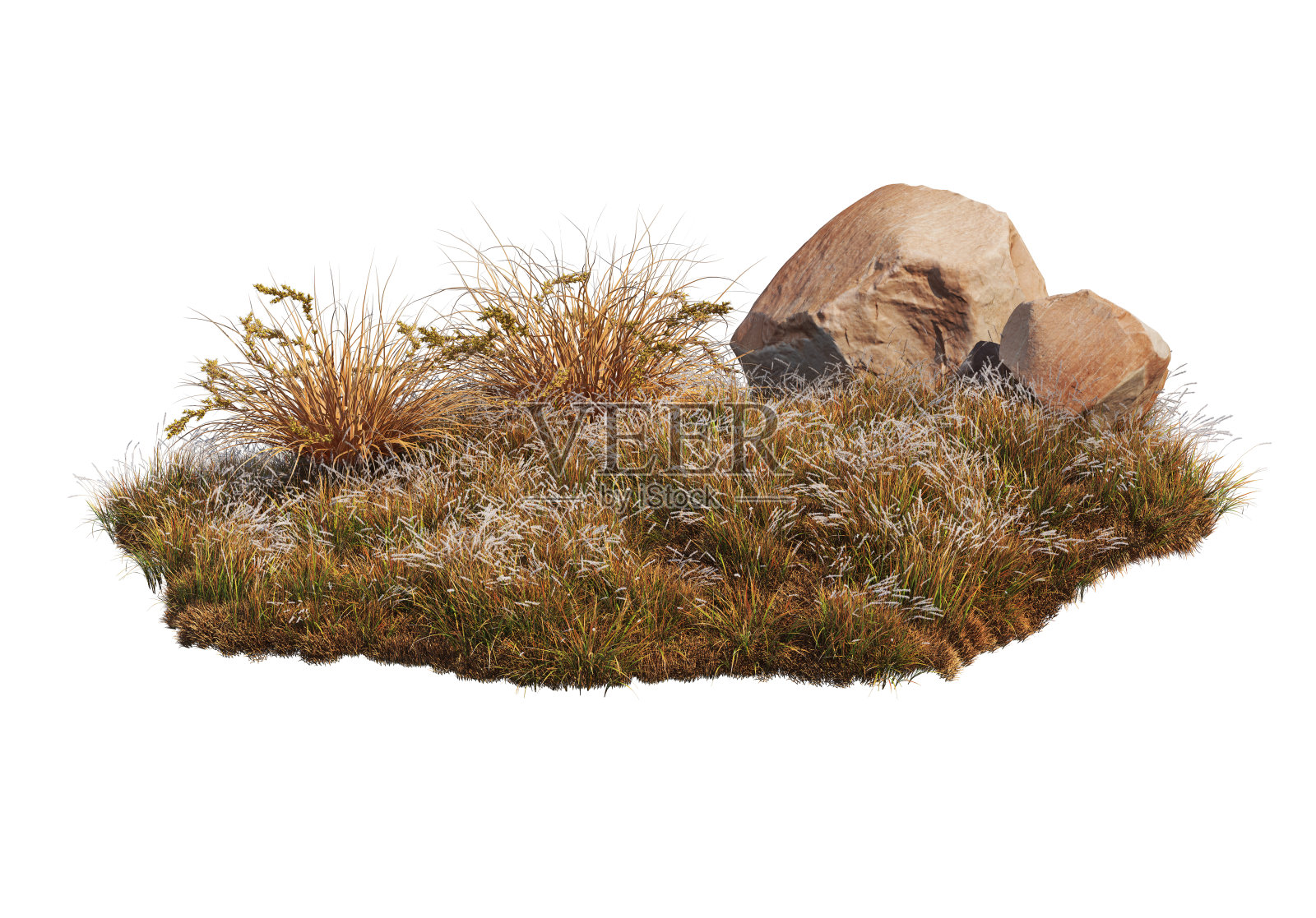 三维渲染石头和草在白色背景上照片摄影图片