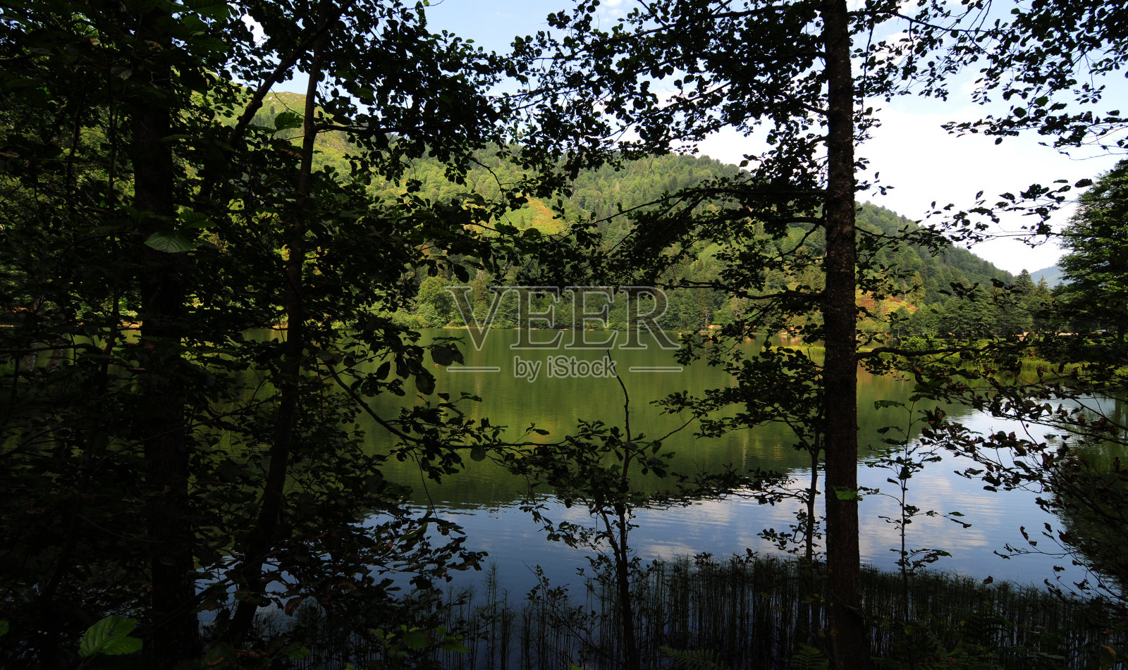 卡拉戈尔 - 博尔卡照片摄影图片