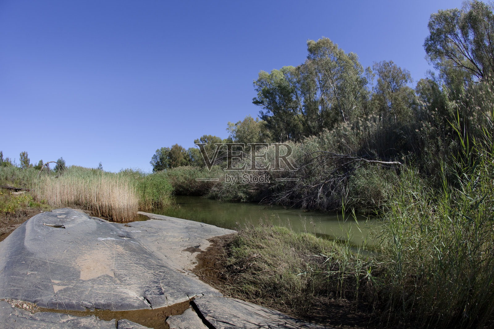 南非岩画：德里科普塞兰照片摄影图片