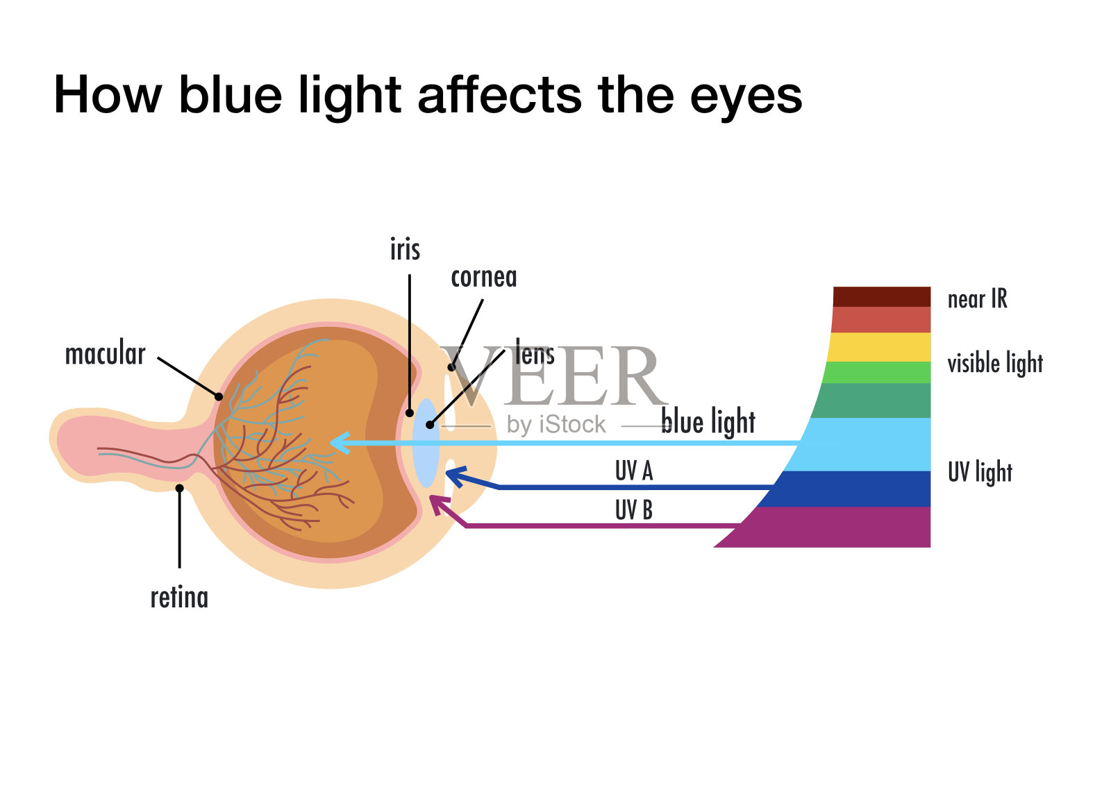 蓝光是如何影响人眼的插画图片素材