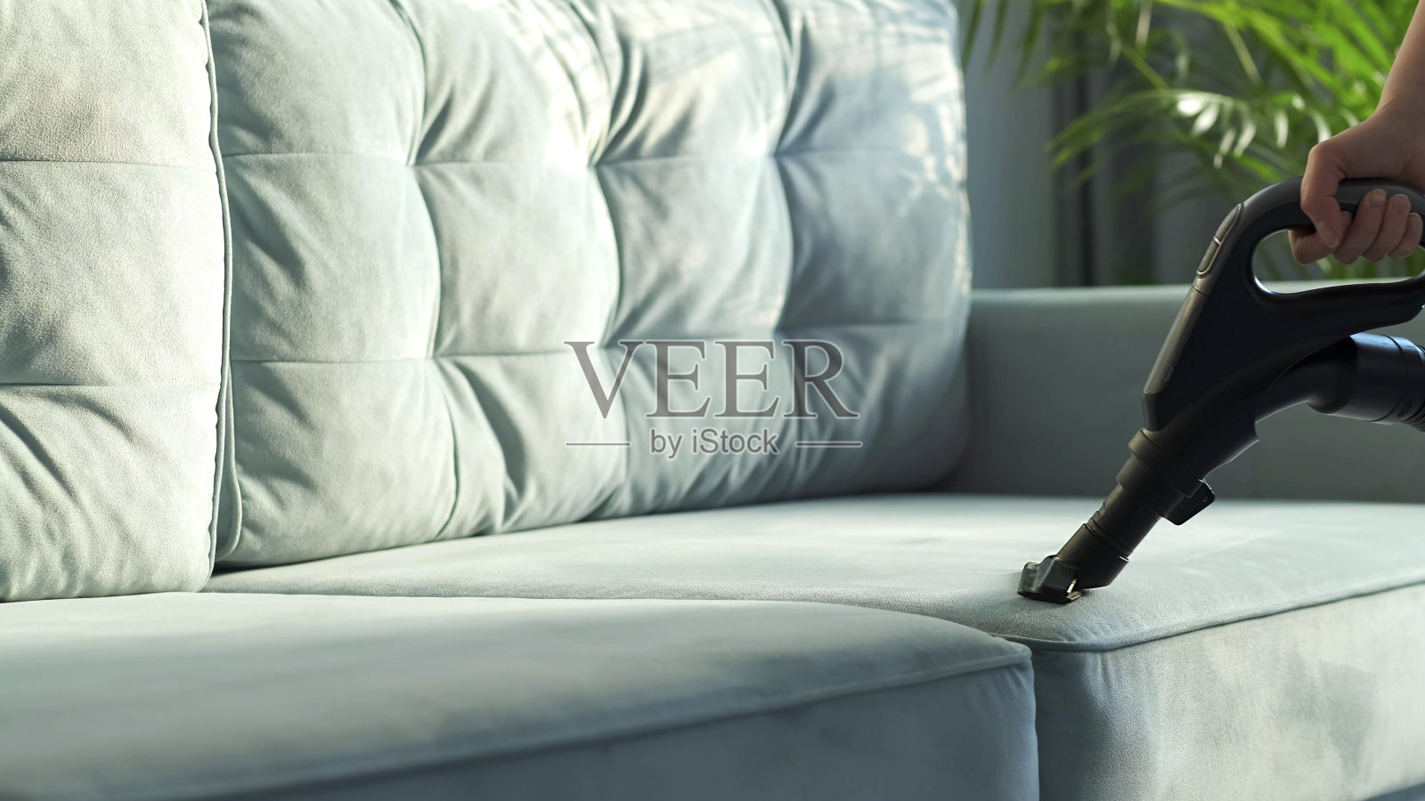 管家在客厅用吸尘器清洁沙发。柔和的光线从窗户射进来照片摄影图片