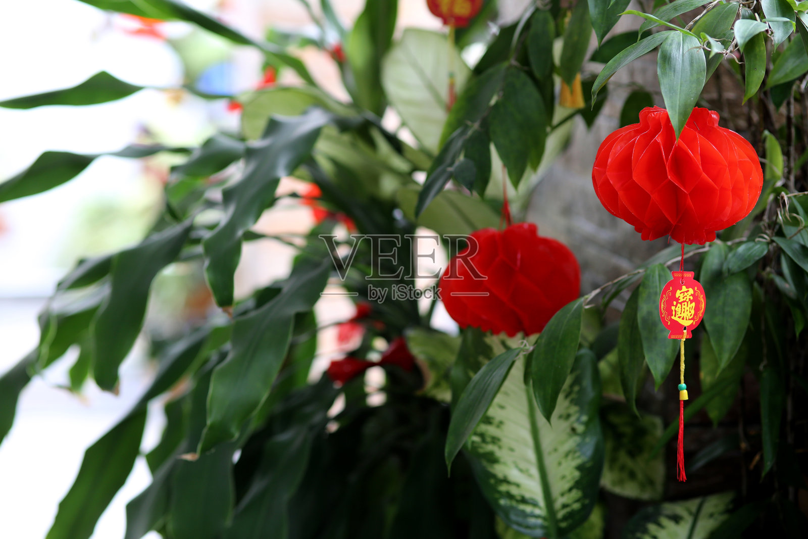 红色的灯笼照片摄影图片