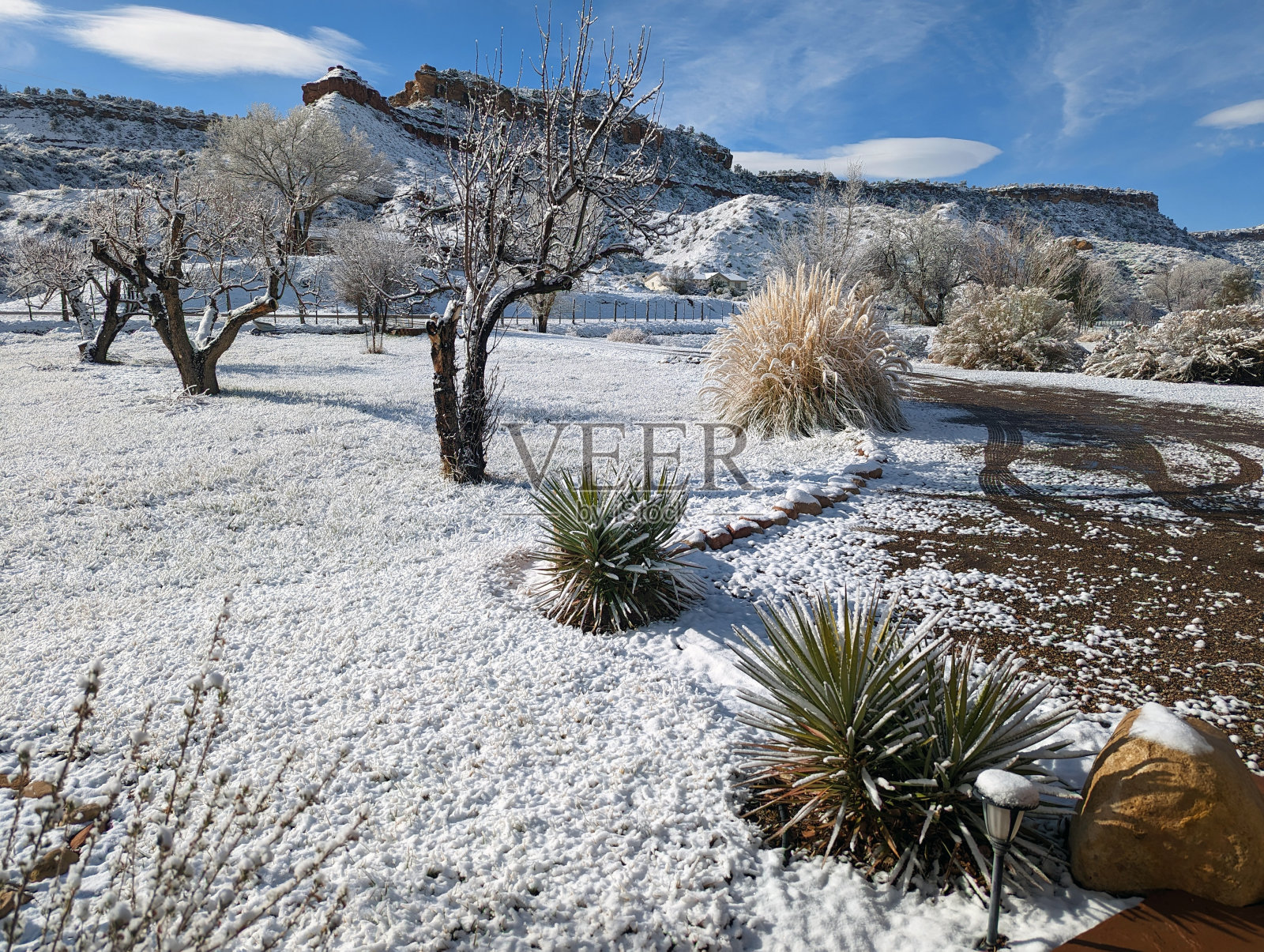 新雪在洛克维尔沿着格拉夫顿路在果园和牧场与南梅萨为背景照片摄影图片
