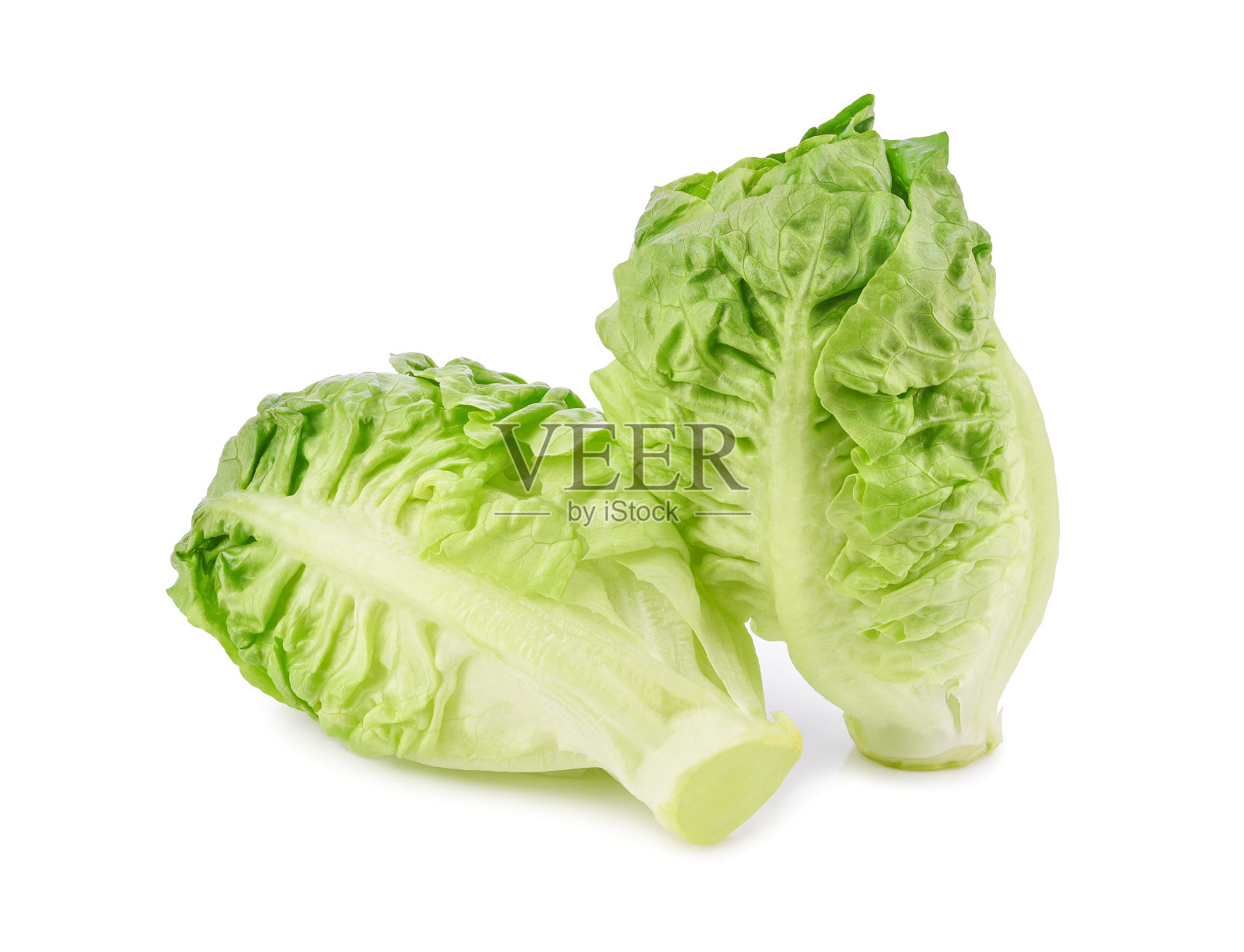 新鲜的绿色，因为生菜孤立在白色照片摄影图片