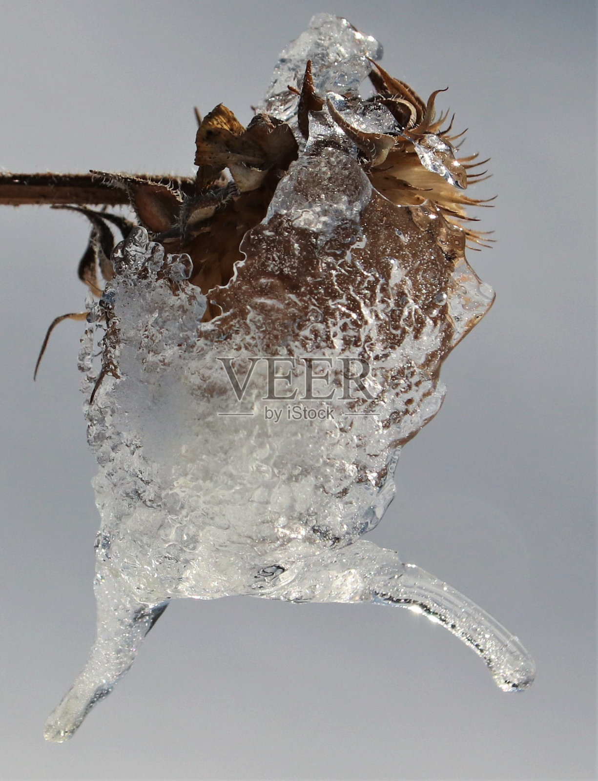 运行照片摄影图片