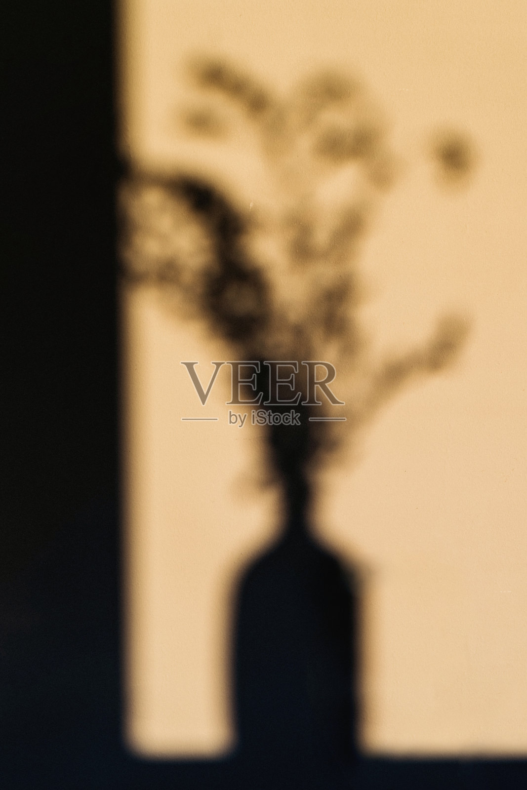 影子照片摄影图片