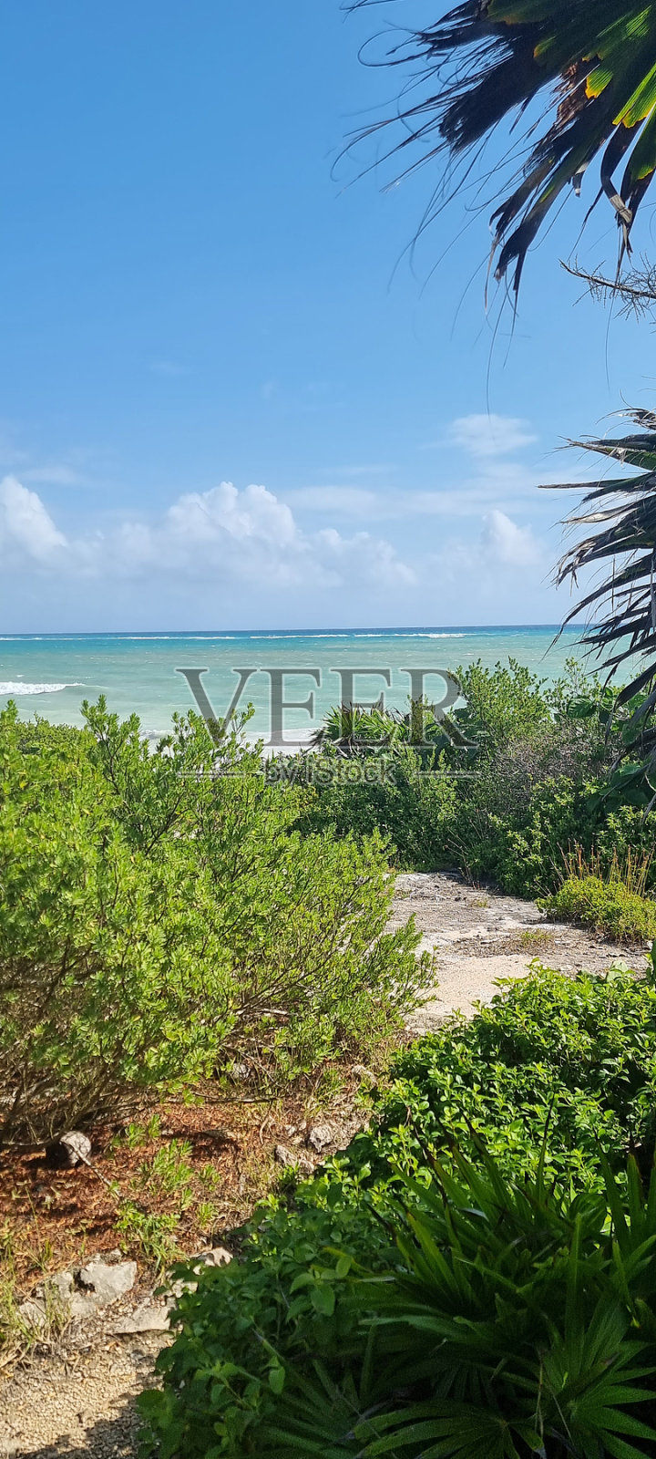 图卢姆的自然风光照片摄影图片