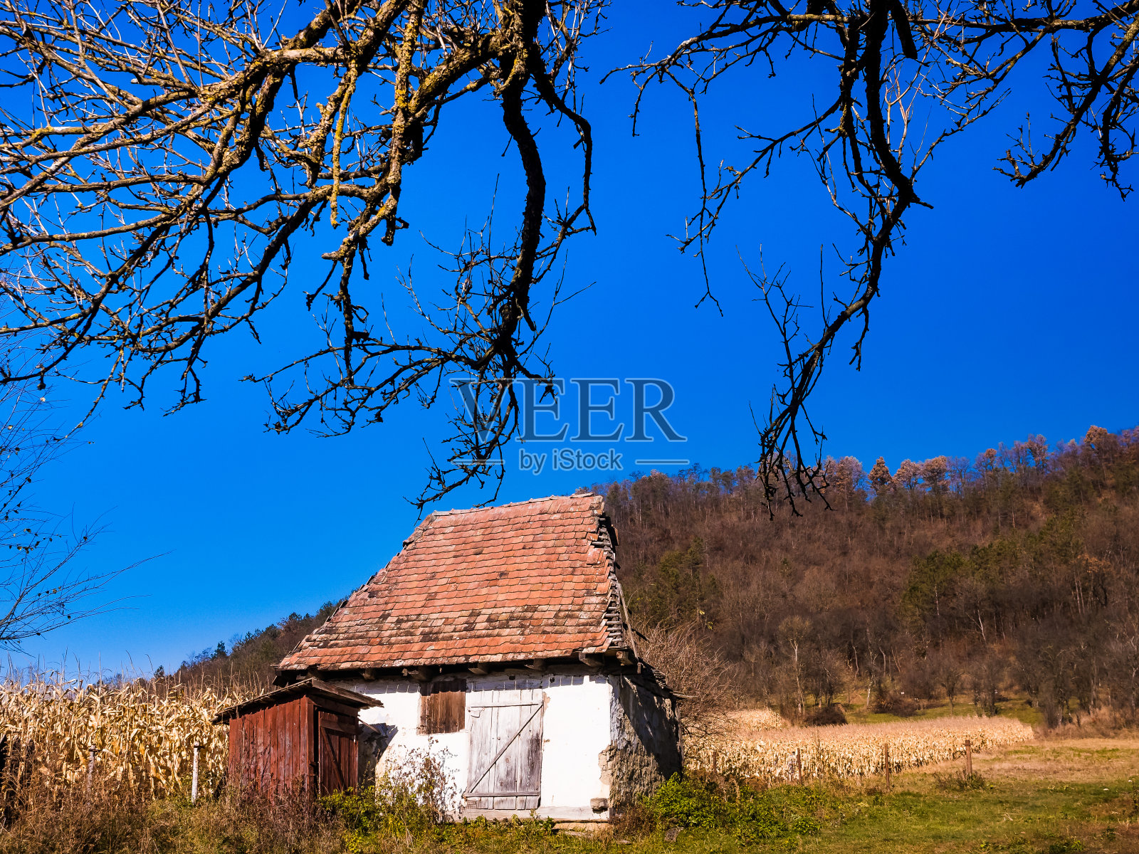 秋天的老房子照片摄影图片