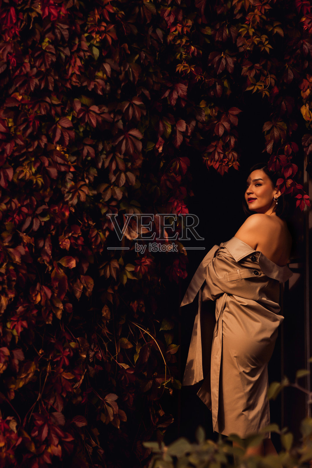 一个美丽性感的黑发女人在一件外套的树篱编织与秋天的藤蔓照片摄影图片