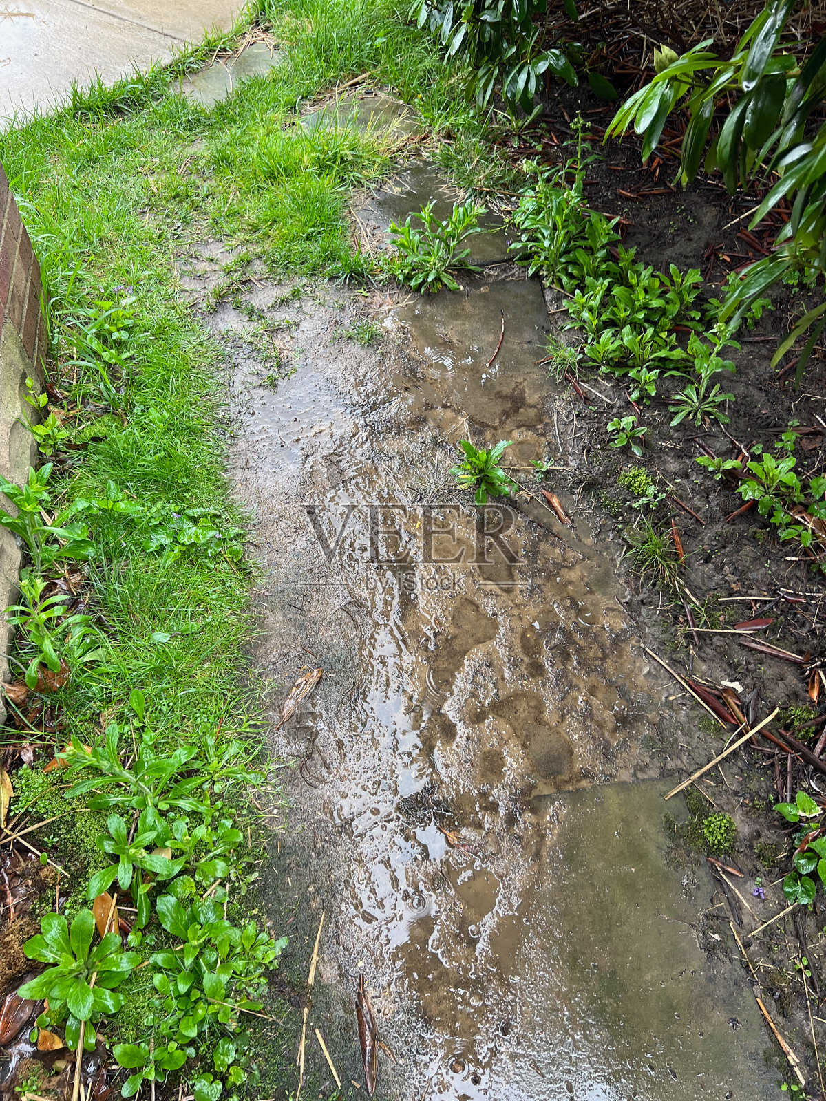 泥泞的道路照片摄影图片