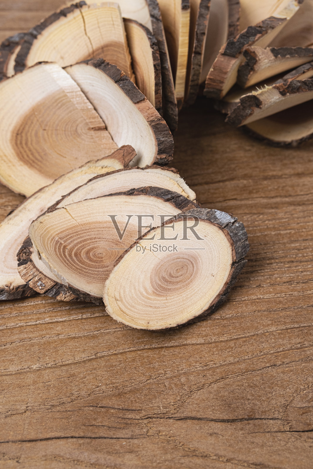 东方葡萄干树照片摄影图片