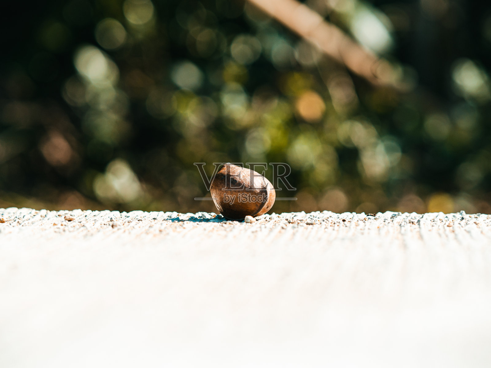 水果照片摄影图片