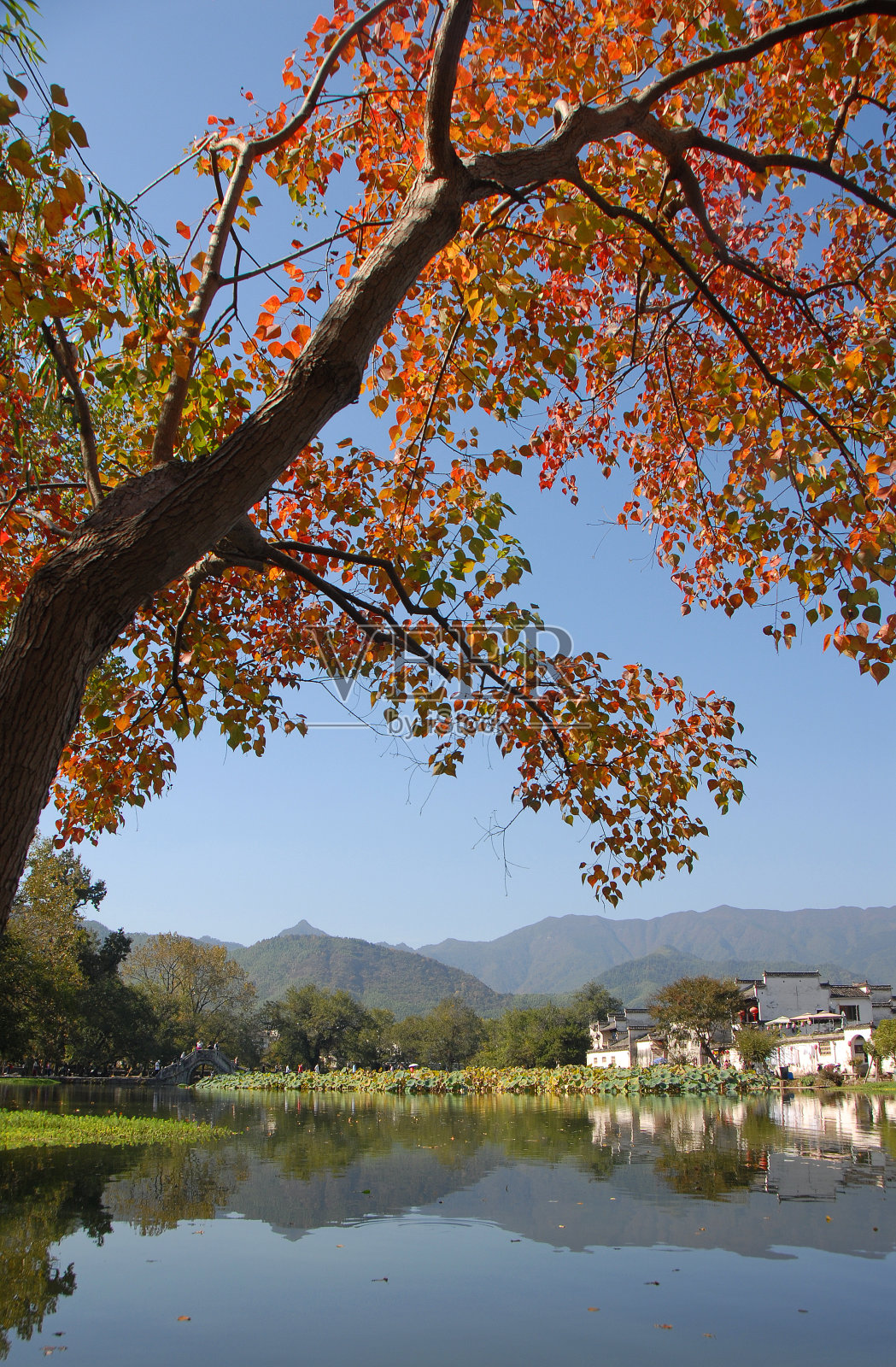 中国安徽省的宏村古镇，有湖有树照片摄影图片