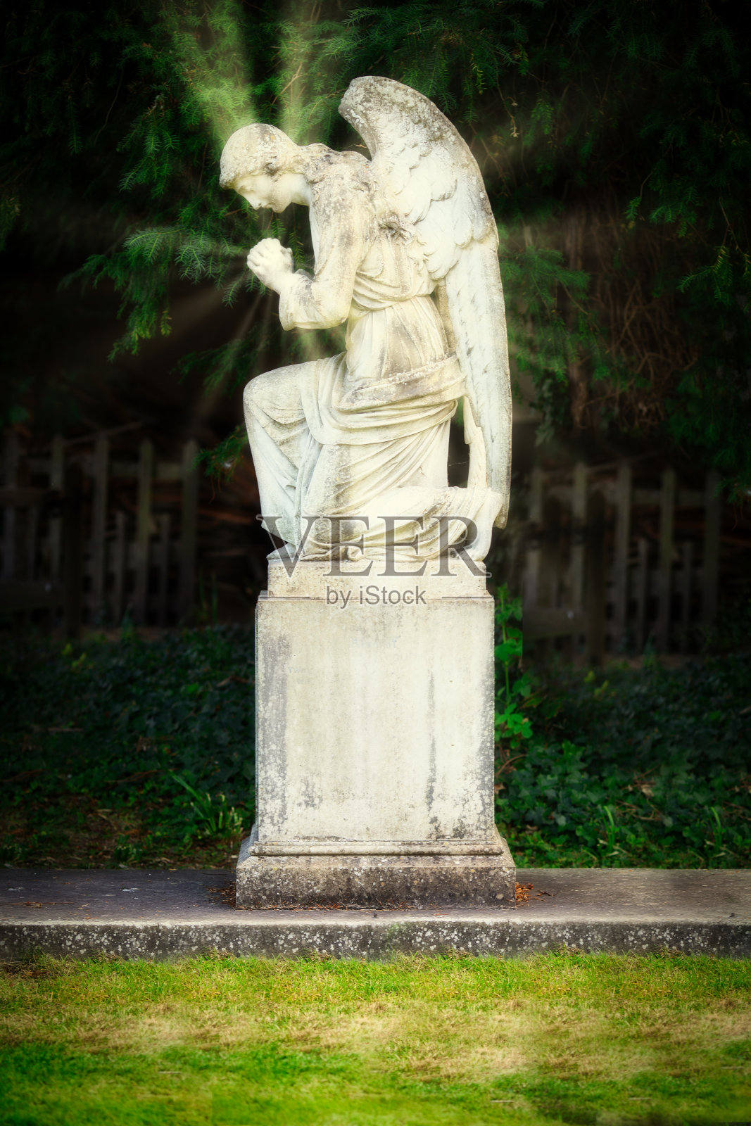 侧面的天使雕像在墓地照片摄影图片