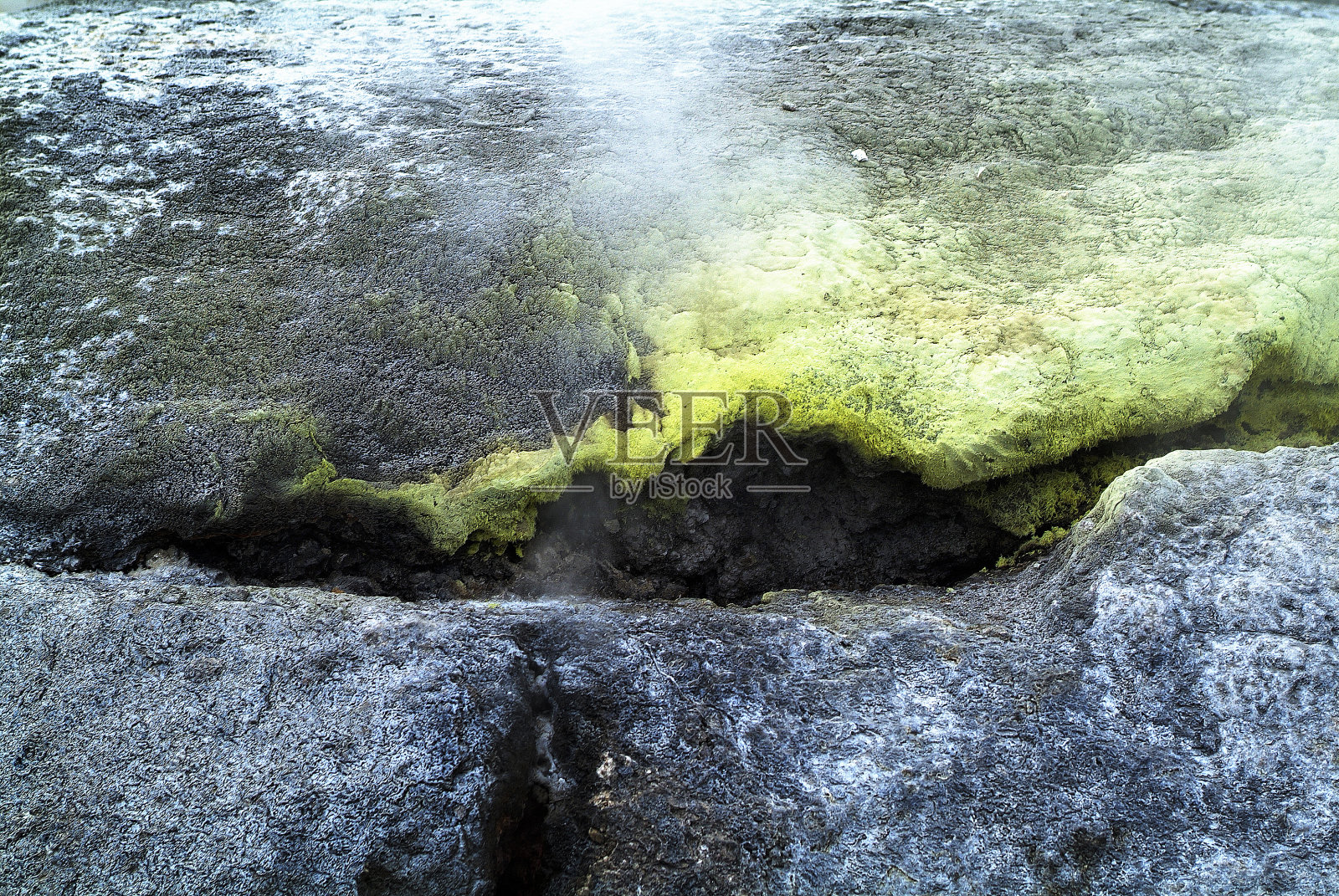 新西兰，Whakarewarewa热能公园照片摄影图片